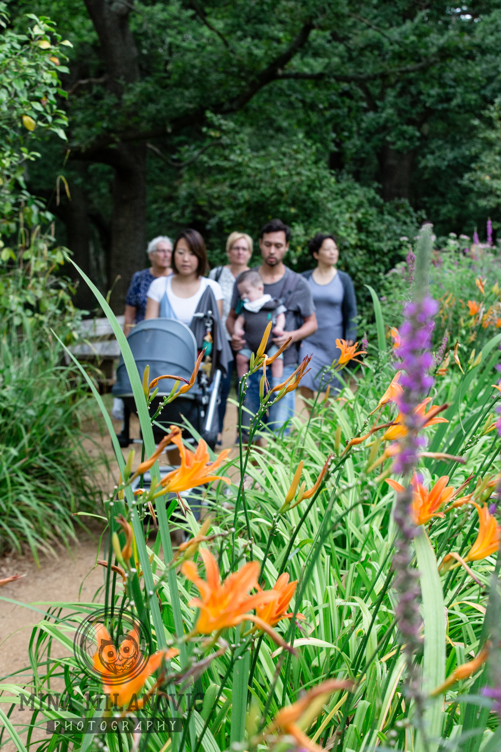 Family Photographer Dorking