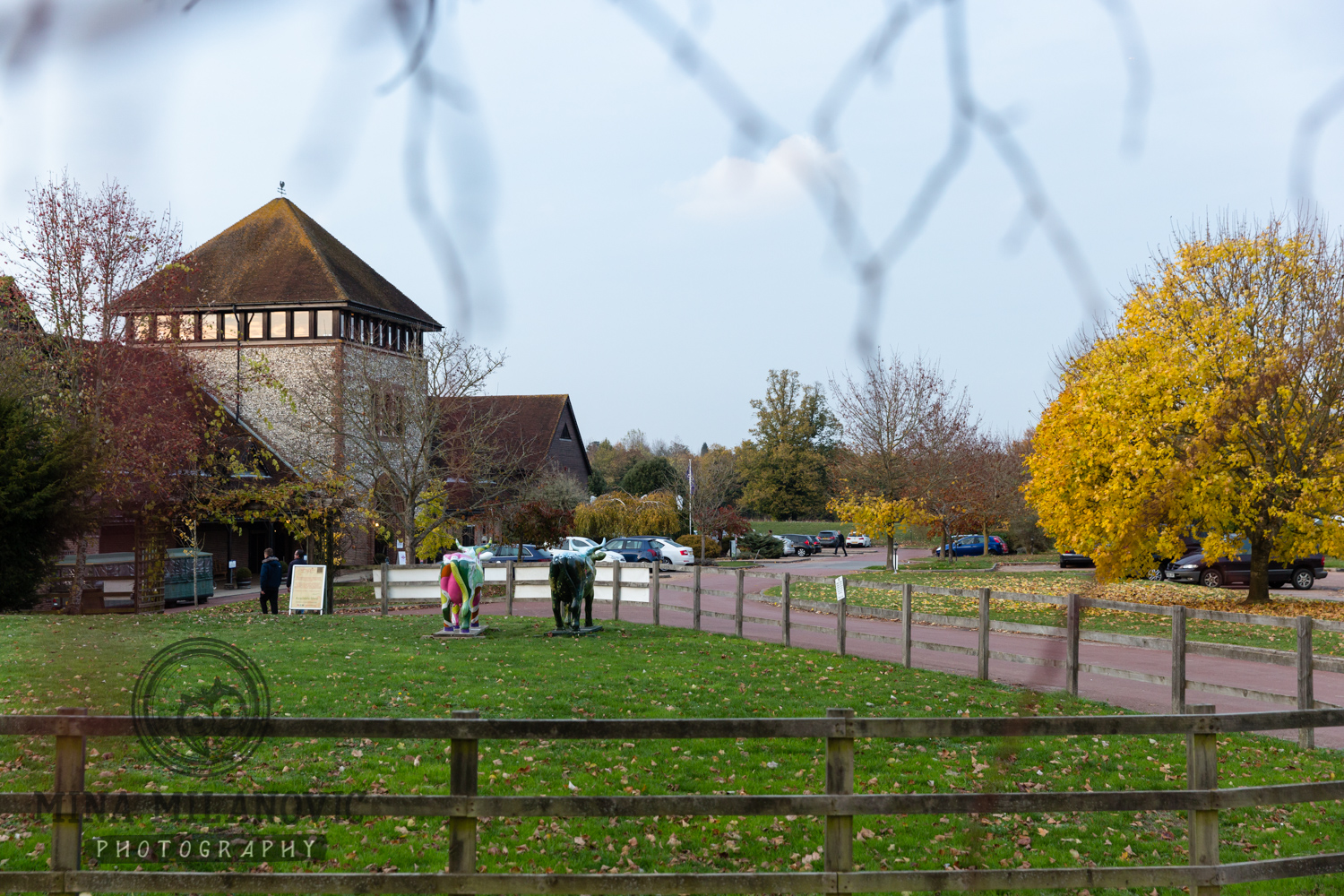 Surrey Wedding Photographer at Denbies Wine Estate