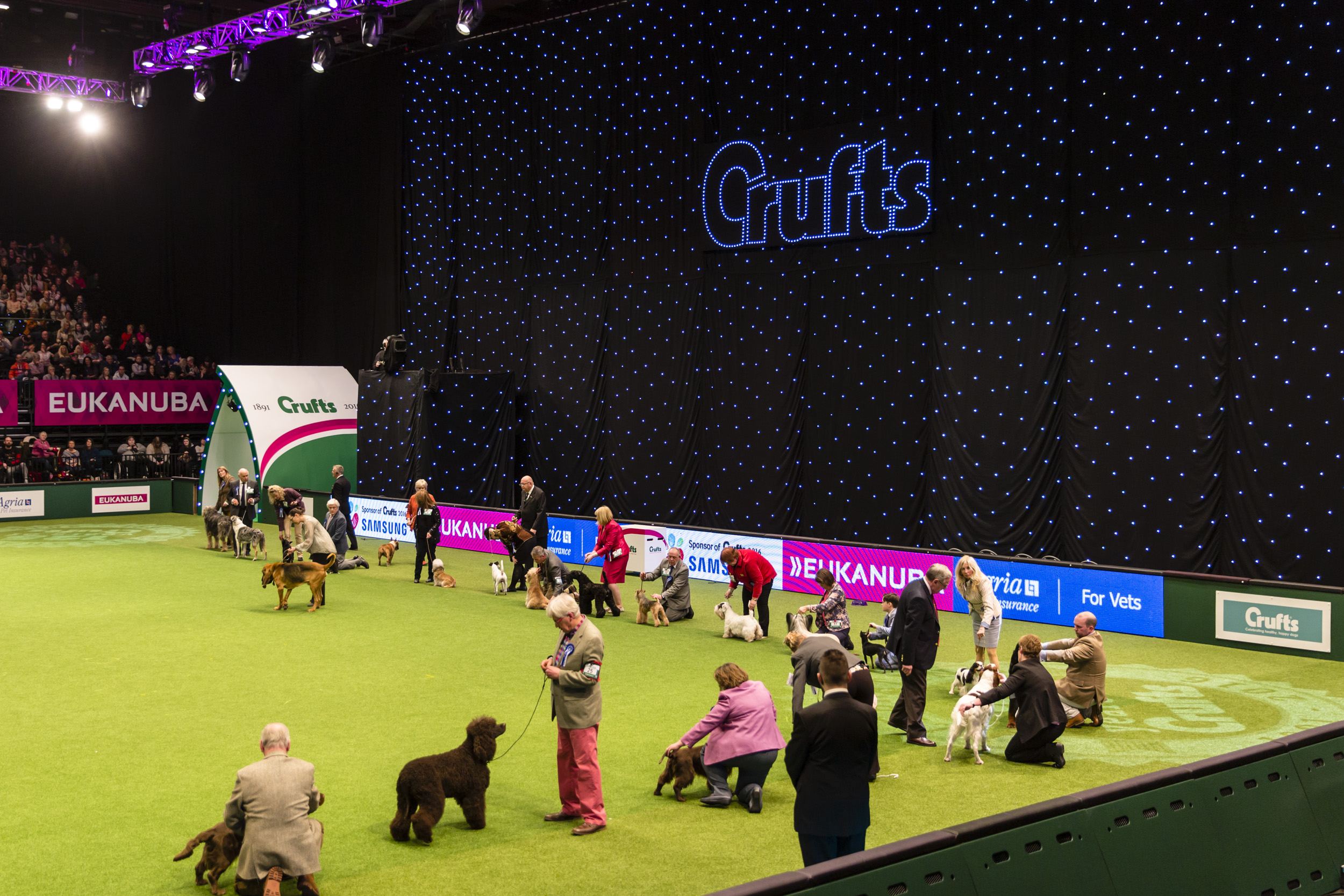 Crufts Professional Photography