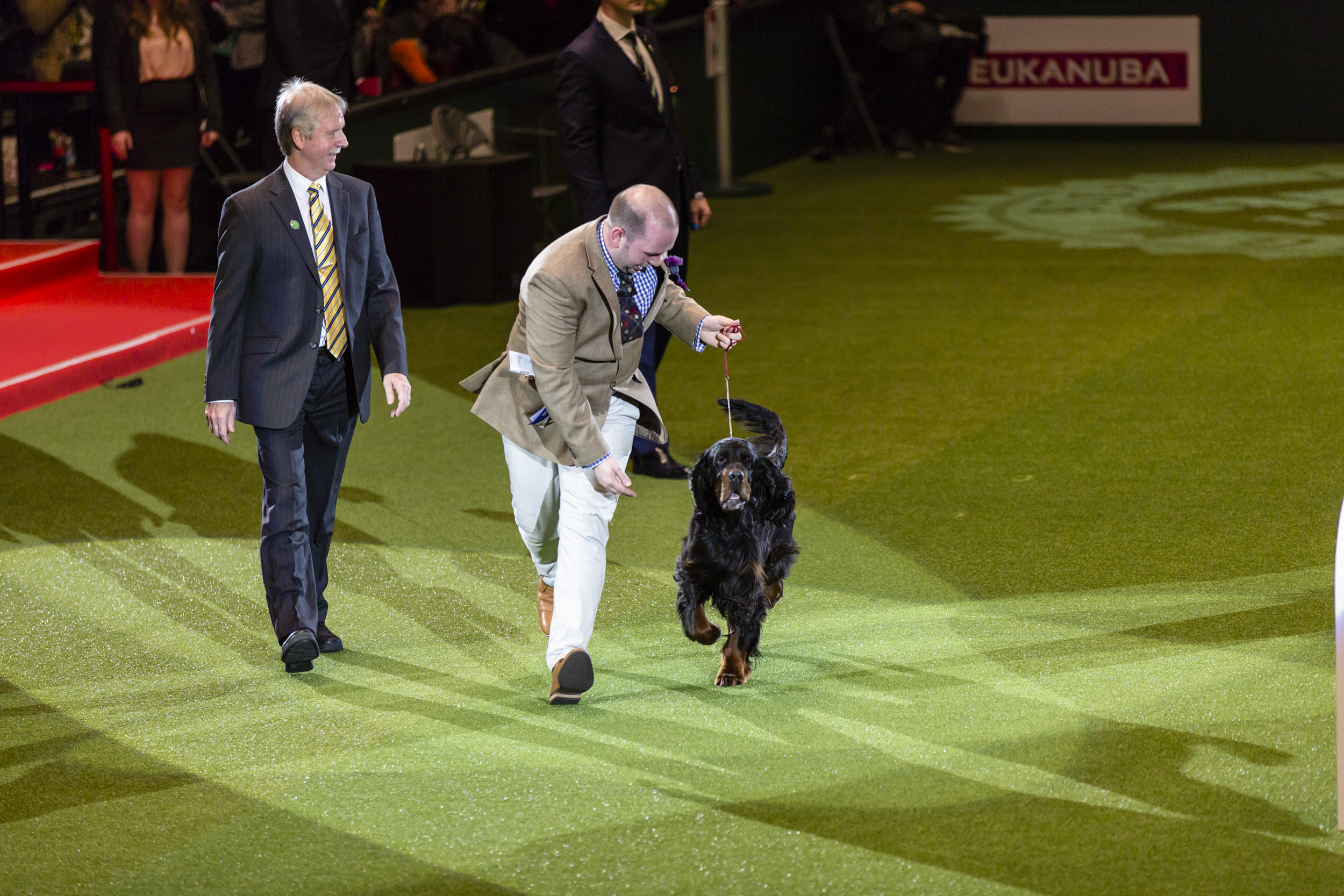 Crufts Dog Show Photographer