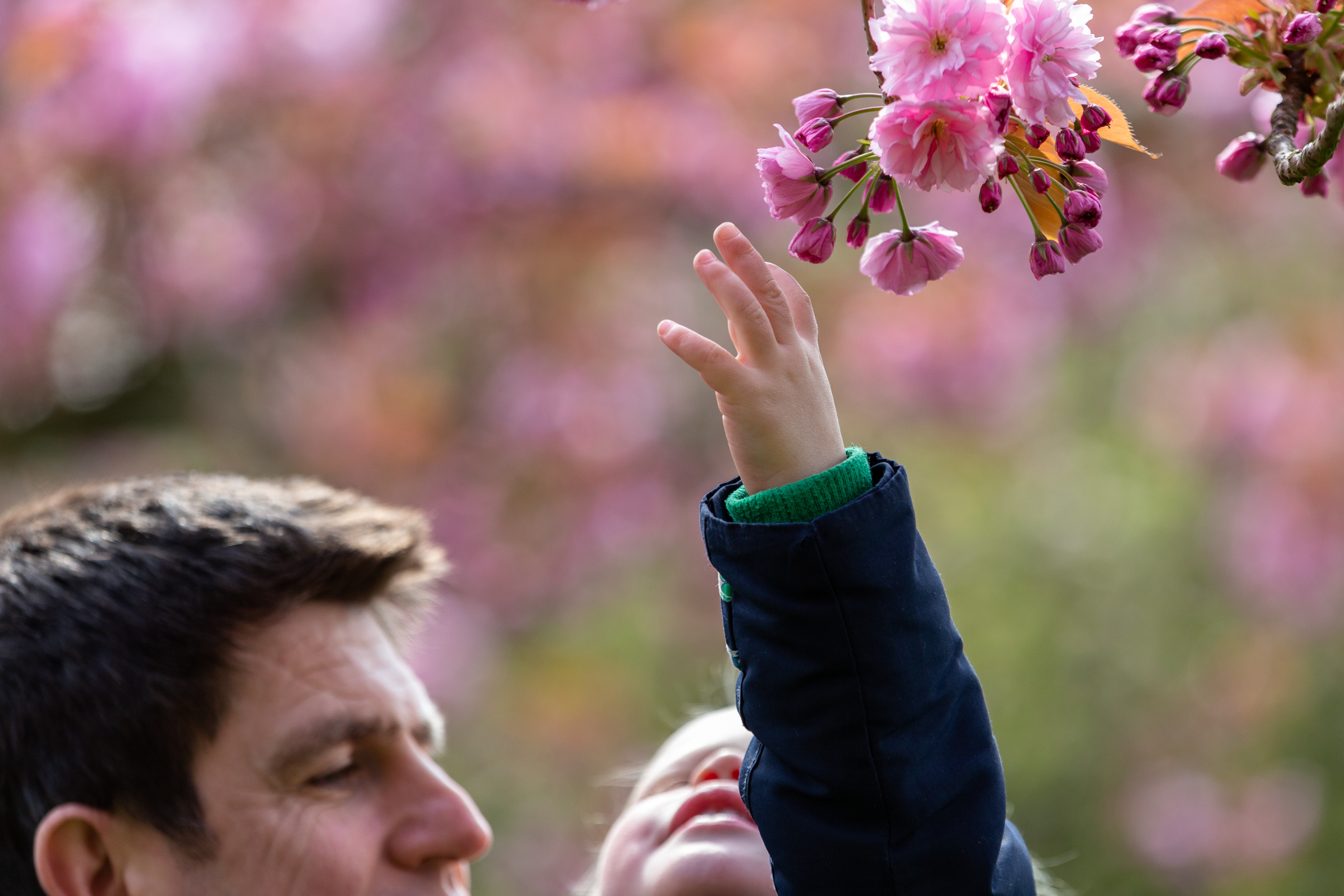 Children's Portraits in Surrey