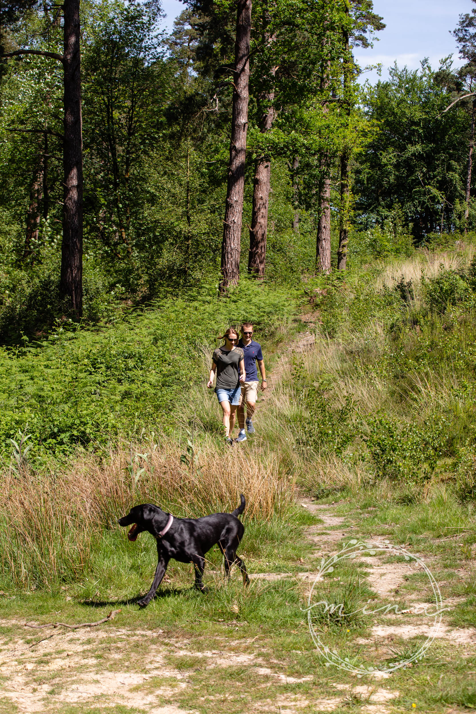 London Pet Photography