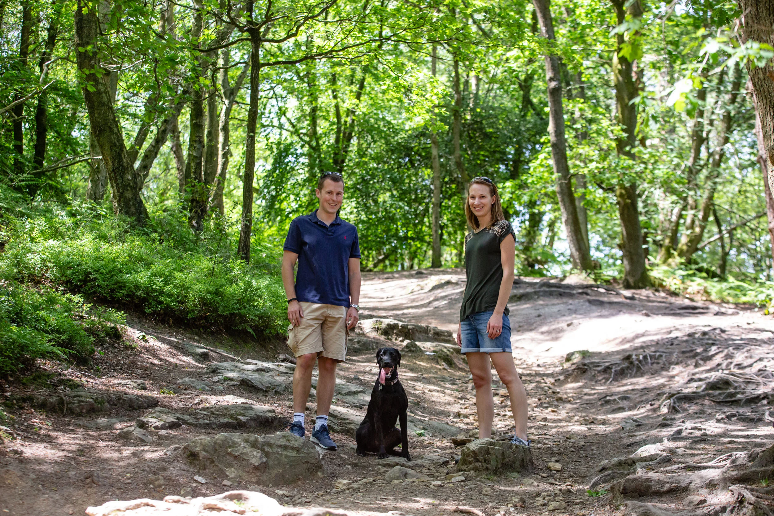 Pet Photographer Surrey / Leith Hill Dog Photography
