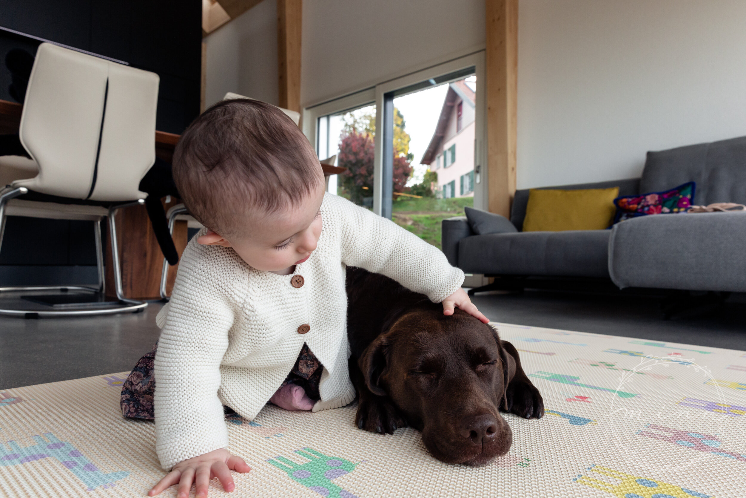 London family and pet photography