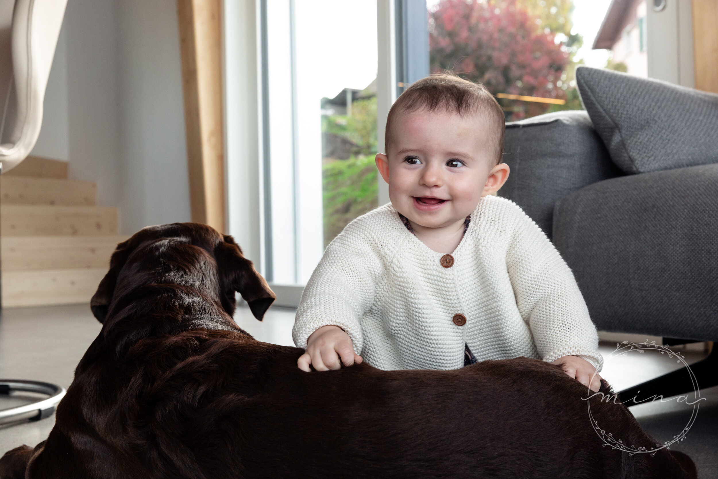 Surrey family and pet photography