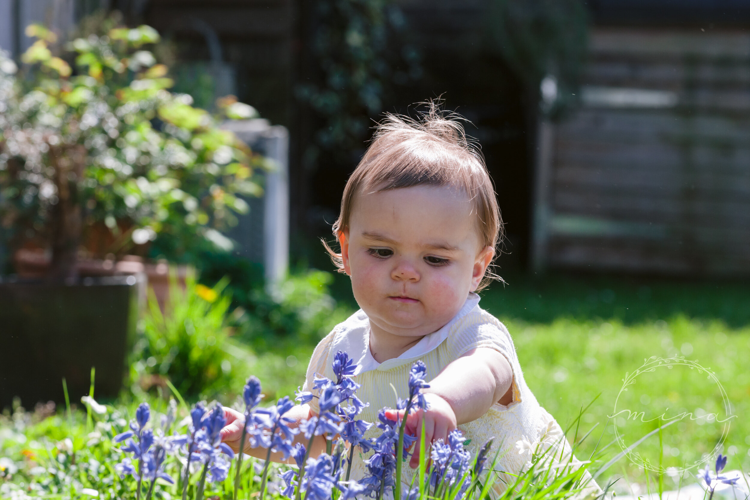 Baby photographer Surrey