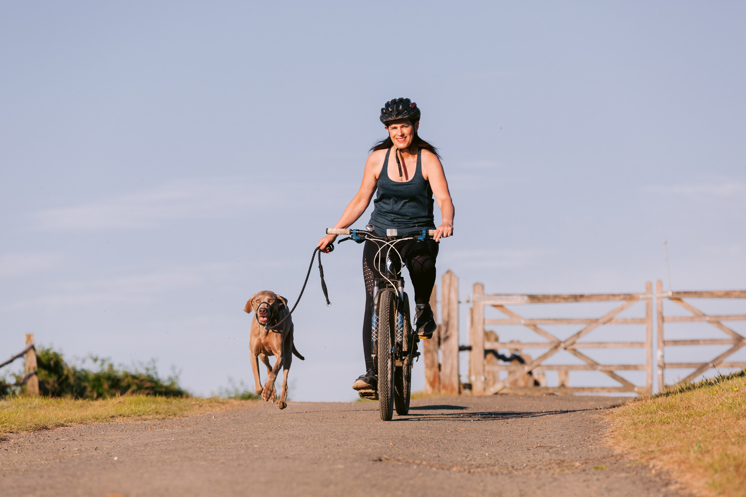 Surrey dog photographer