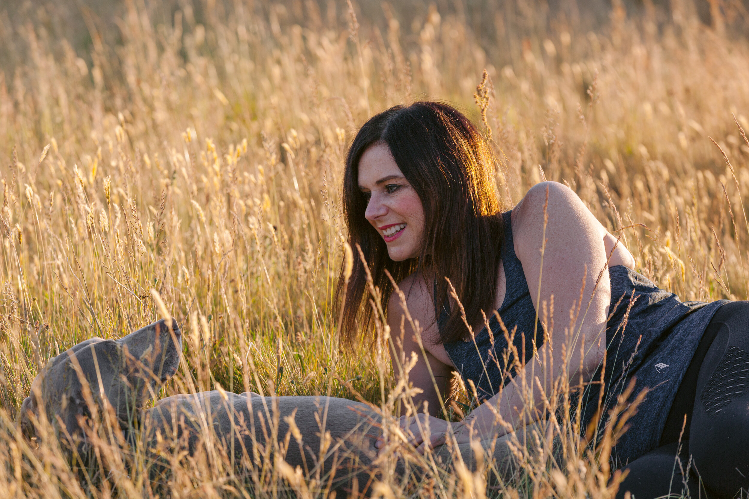 Dog portrait photography