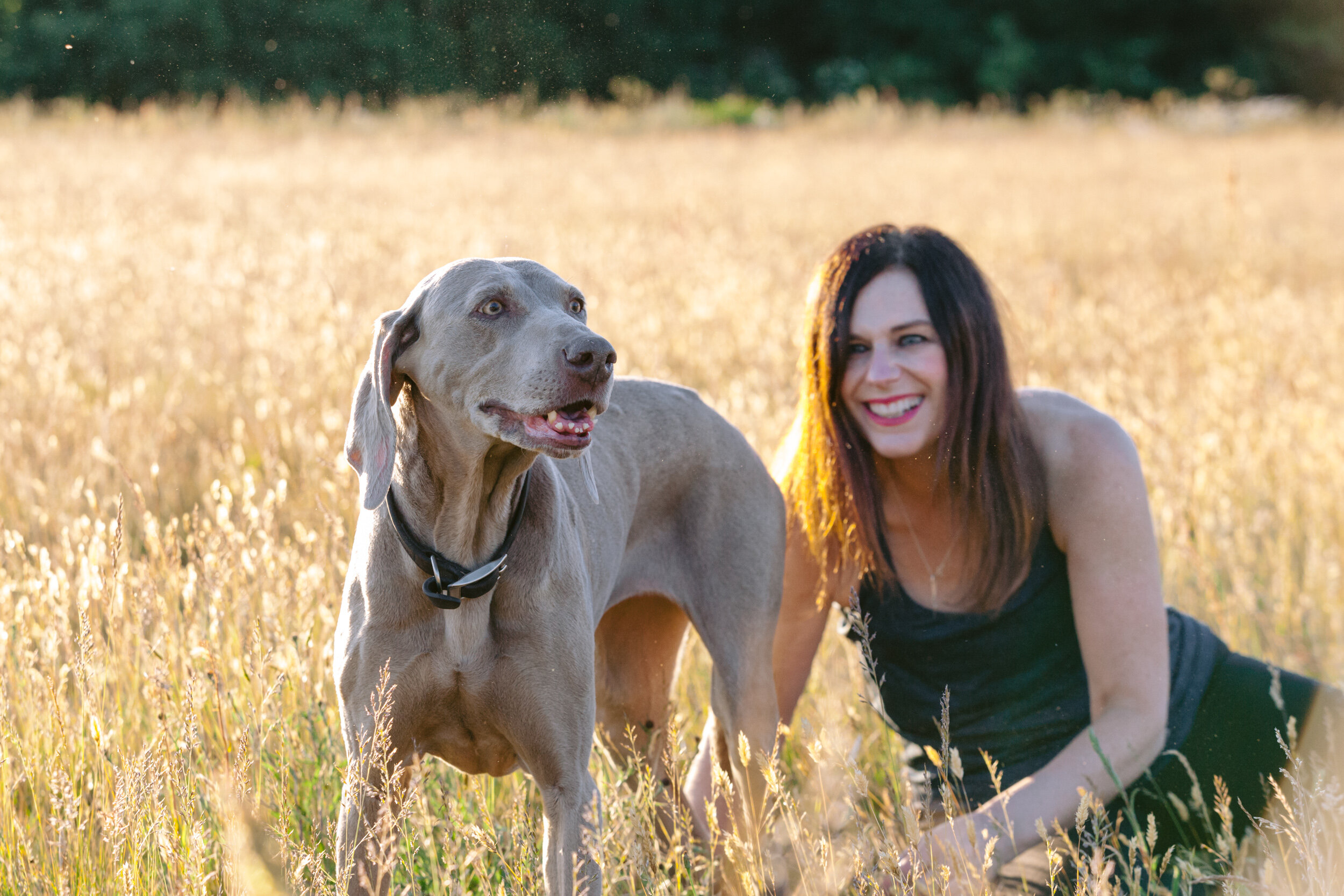 Richmond dog photographer