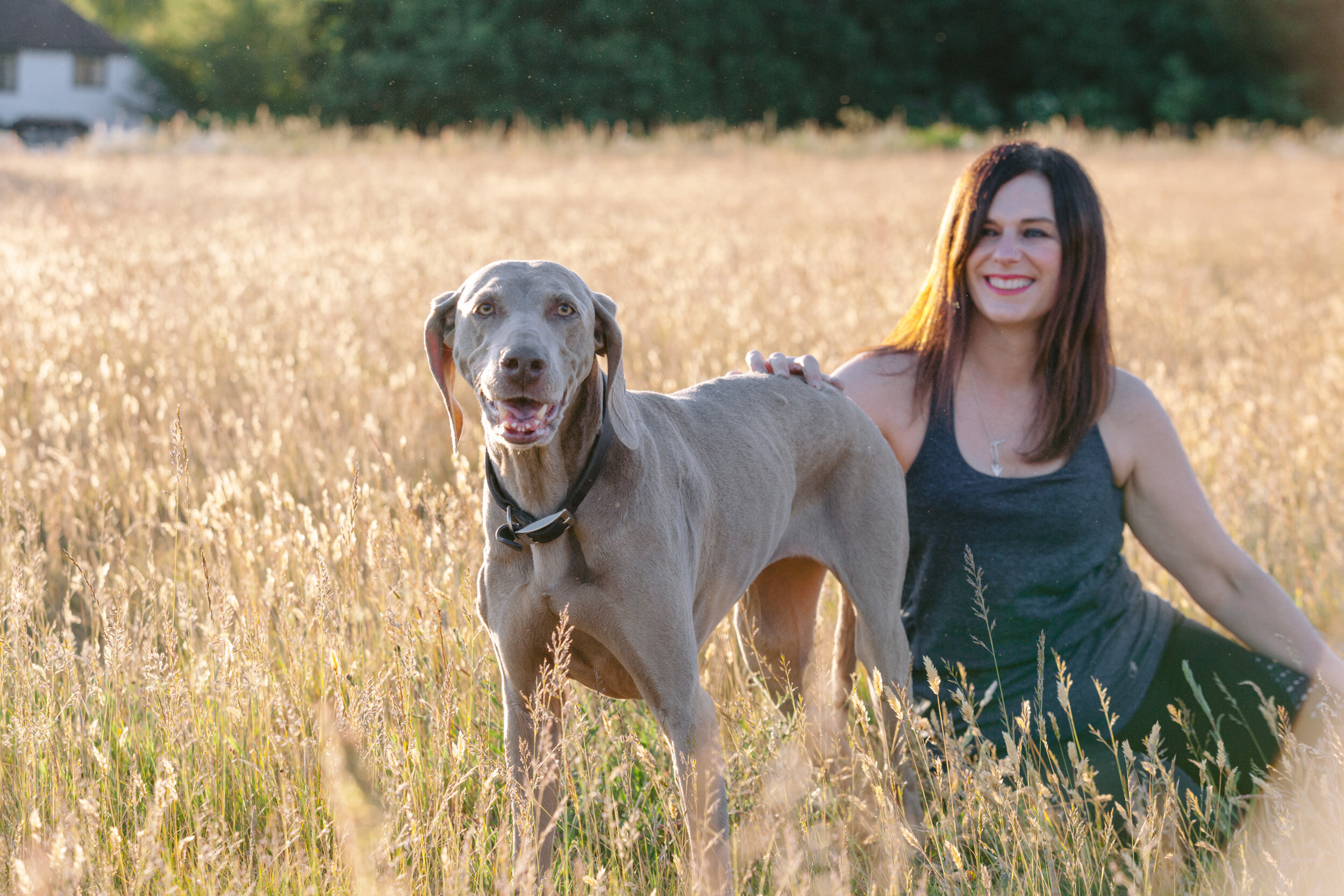 Dog photography gift vouchers