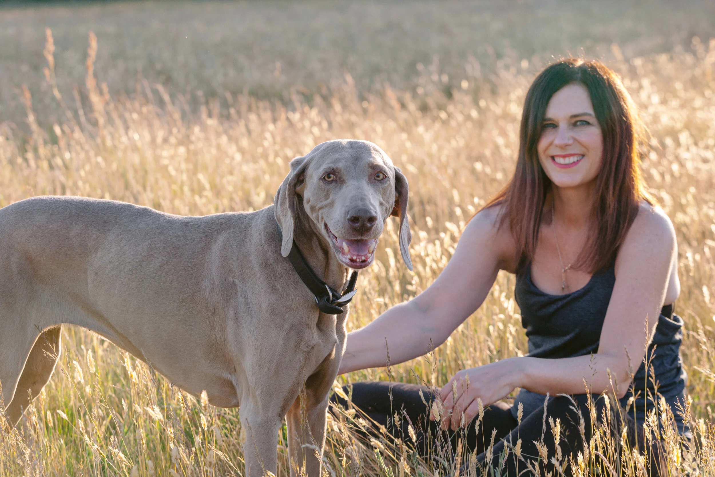 Surrey Pet Photographer / Documenting Surrey Dogs During Lockdown