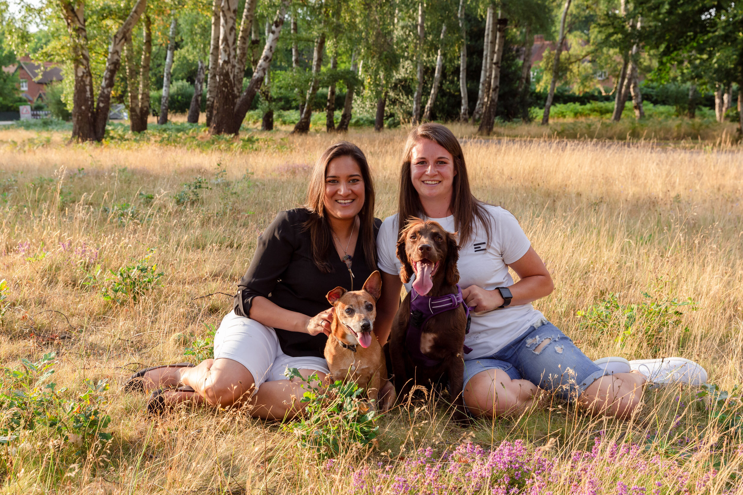 London dog photographer