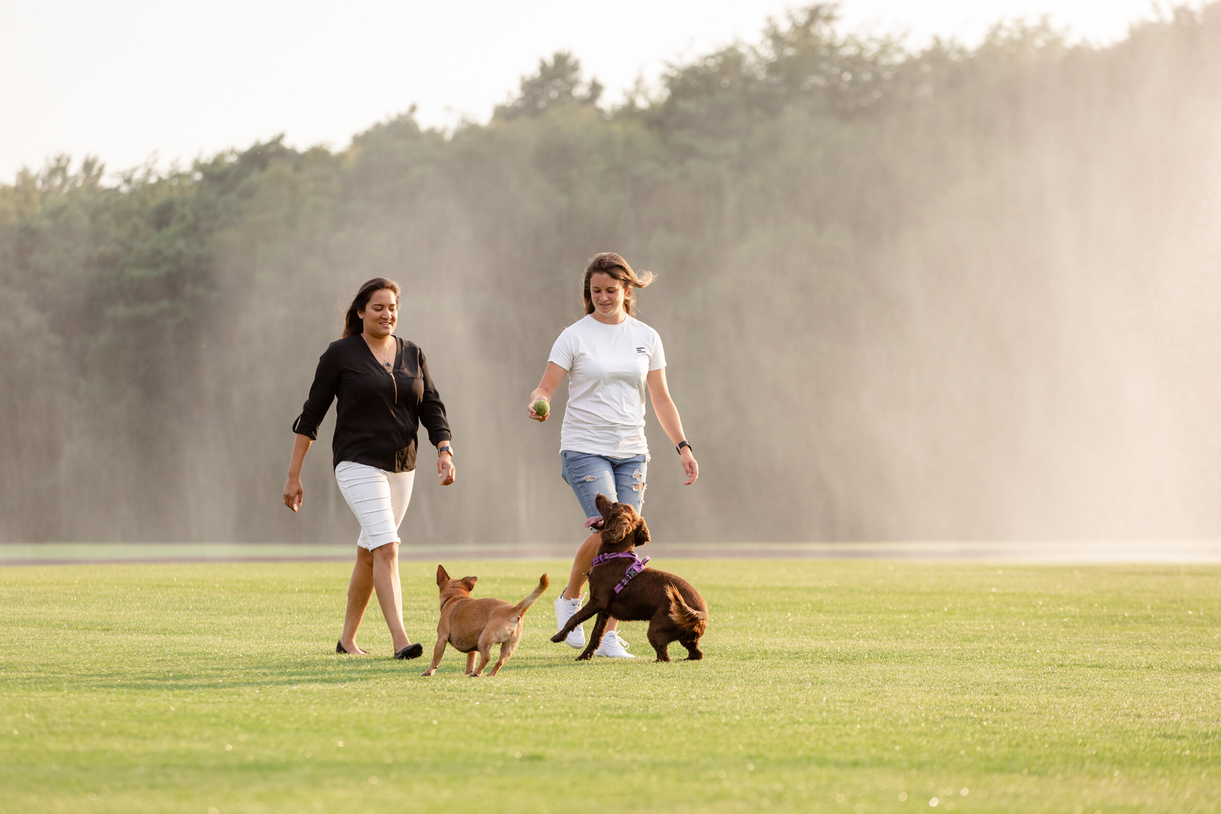 Kew dog photographer