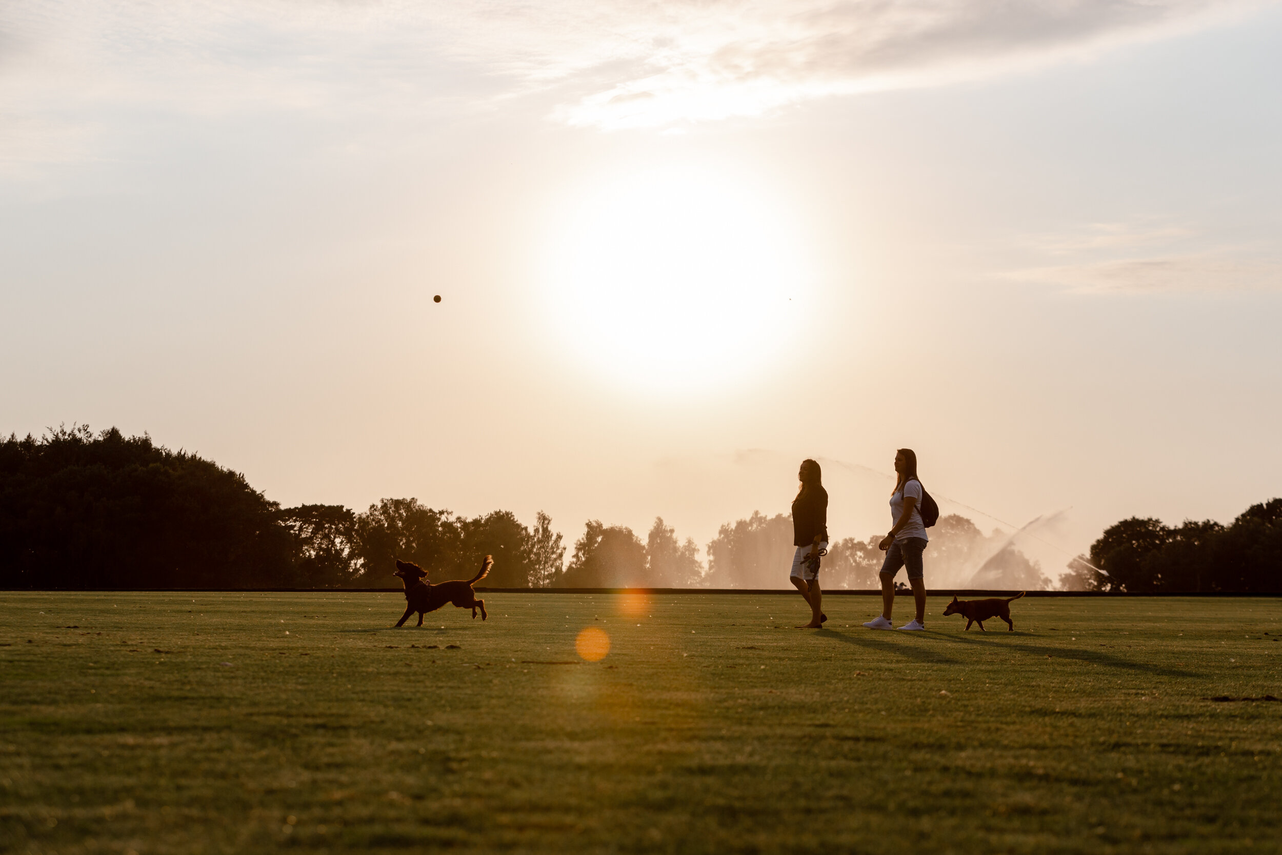 London dog and family photoshoot