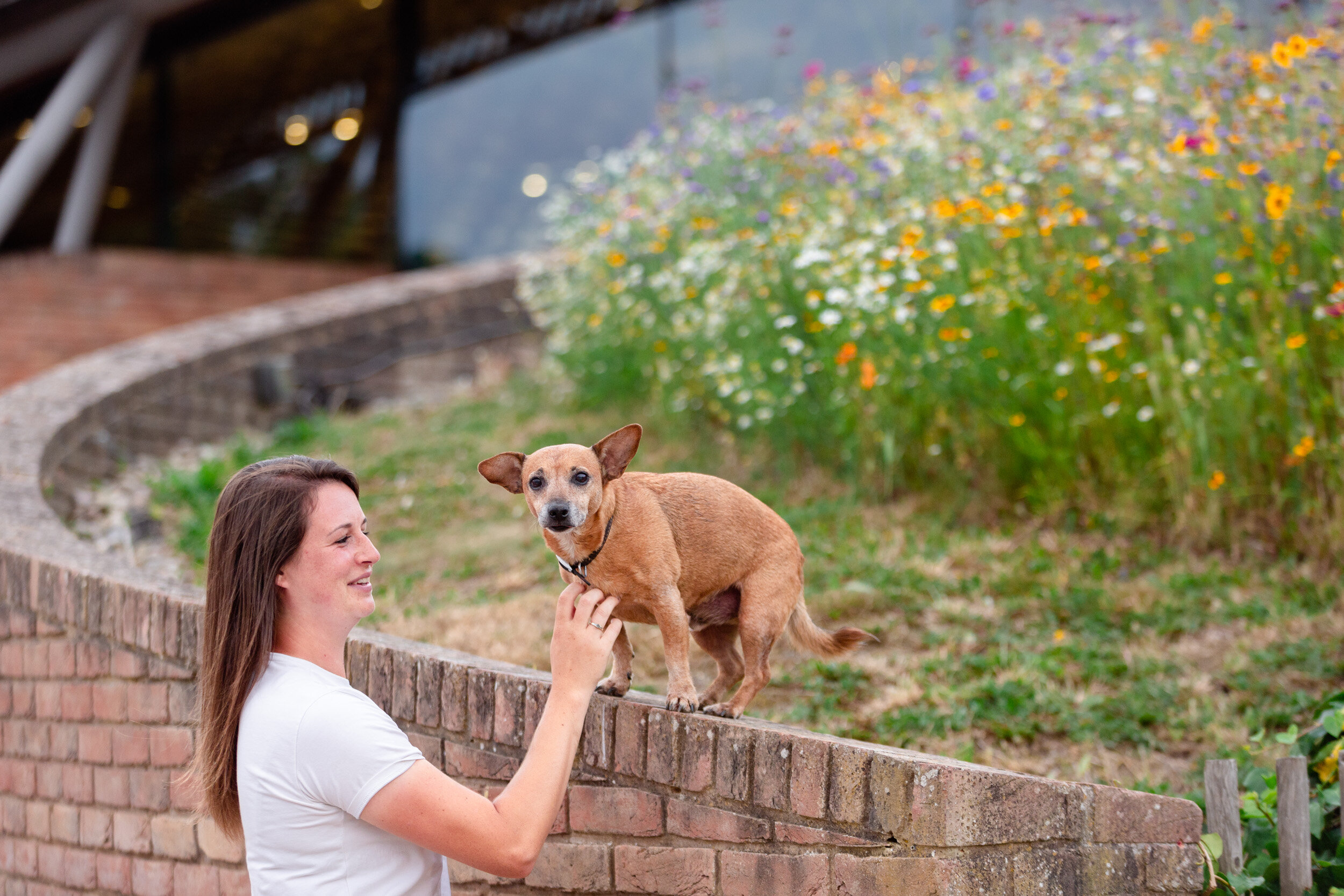 Pet portraits London