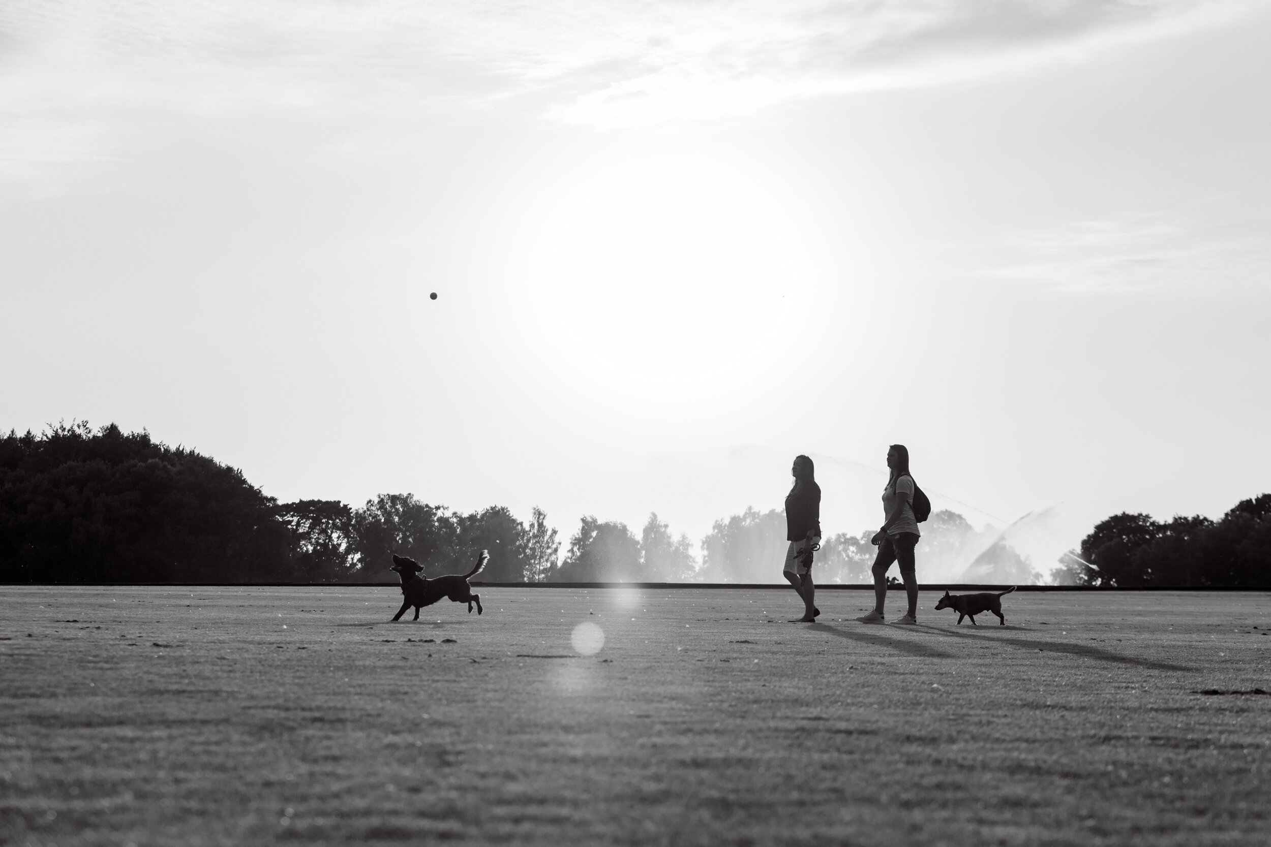 London Dog Photoshoot