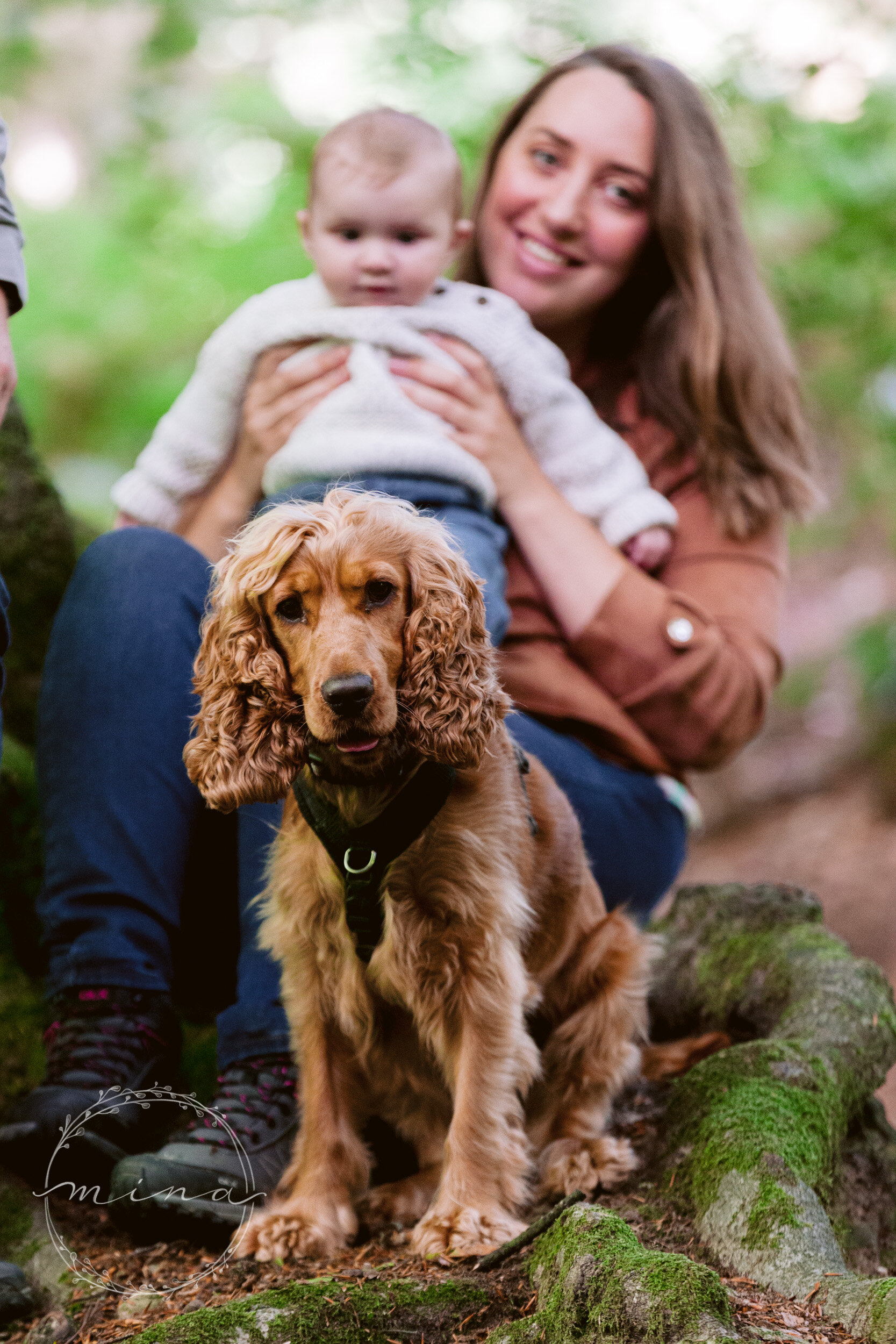 Family photography with dogs