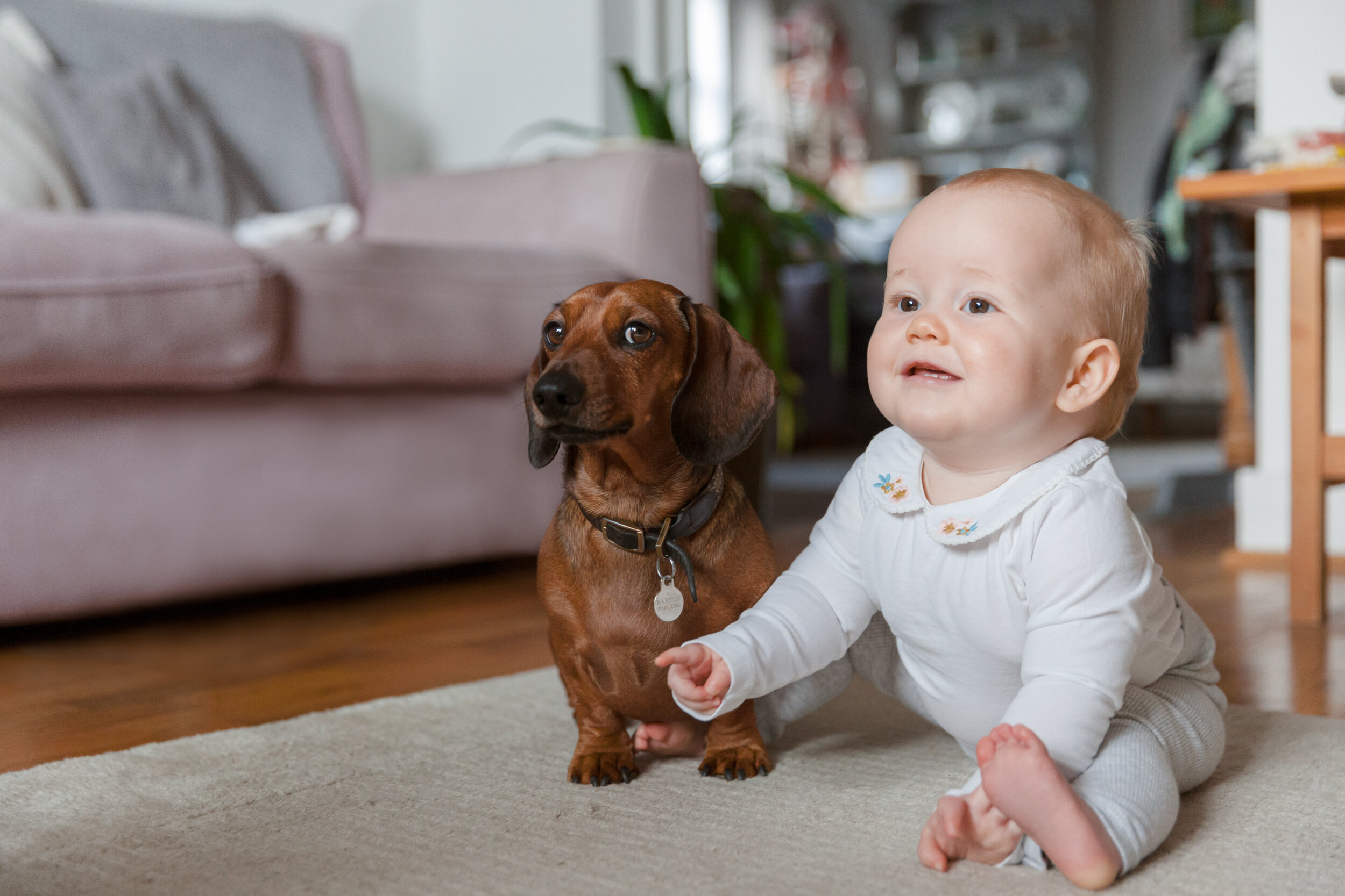 Surrey dog and children photographer