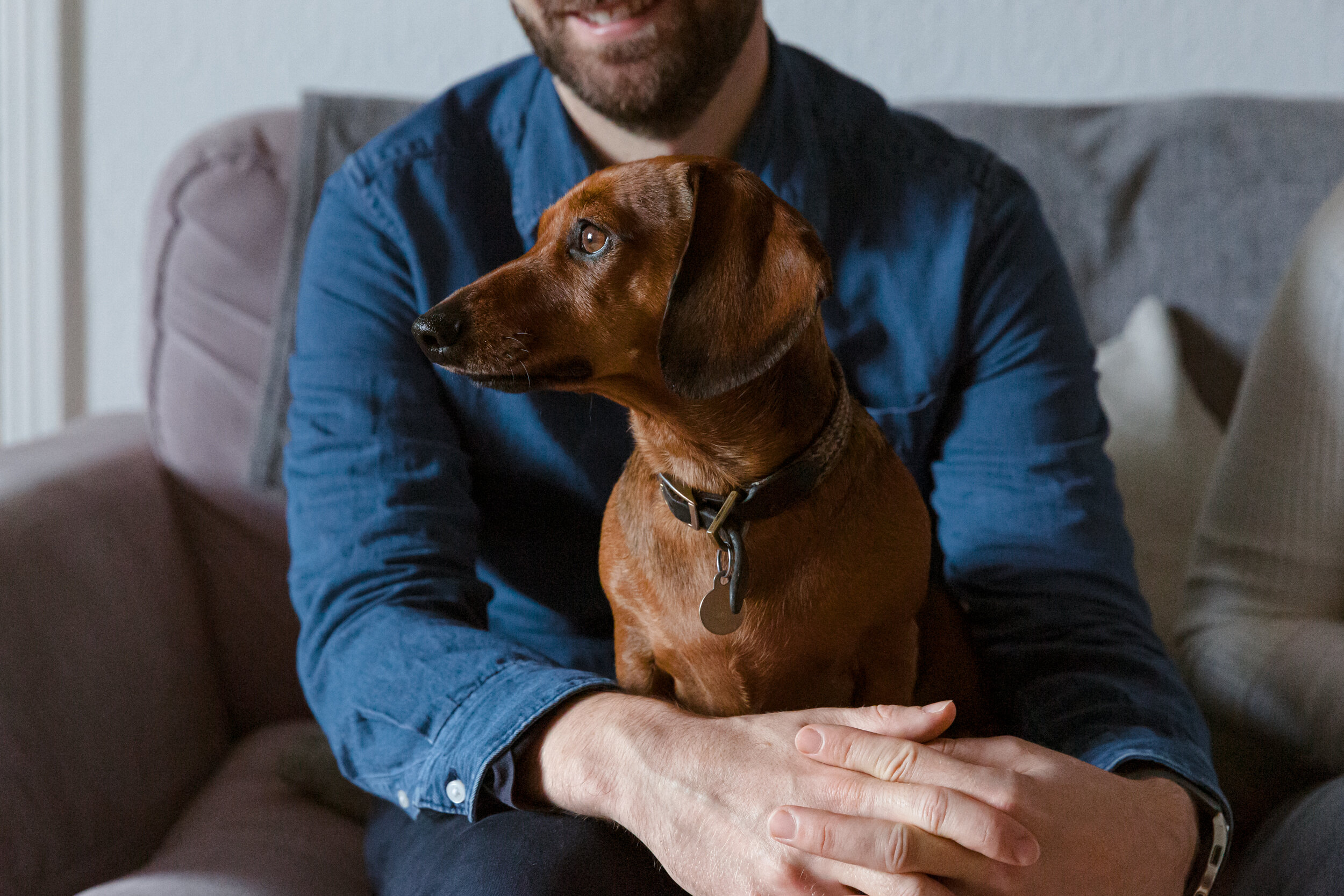 London dachshund photography