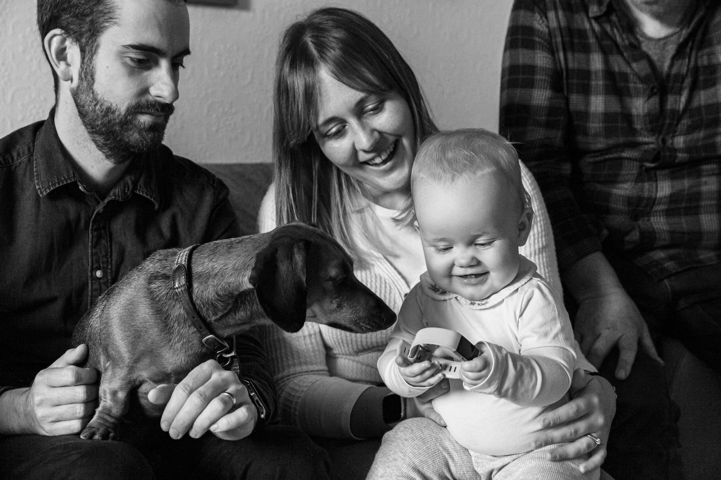 Surrey family and dog photography