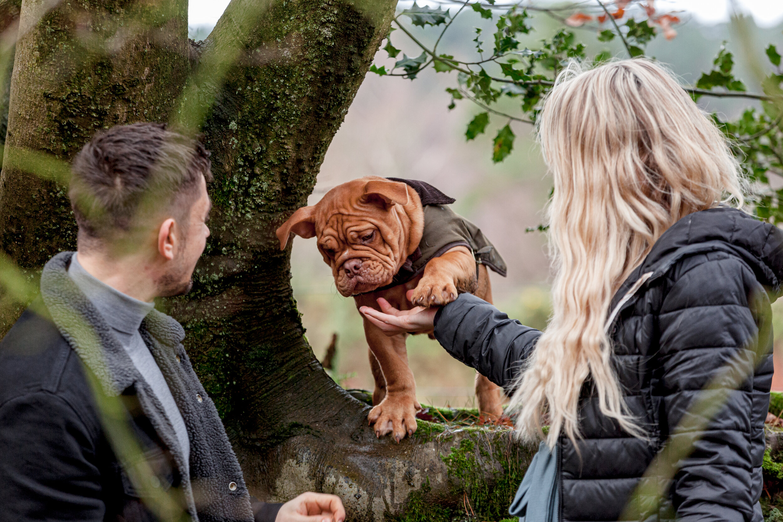 London Puppy Photographer