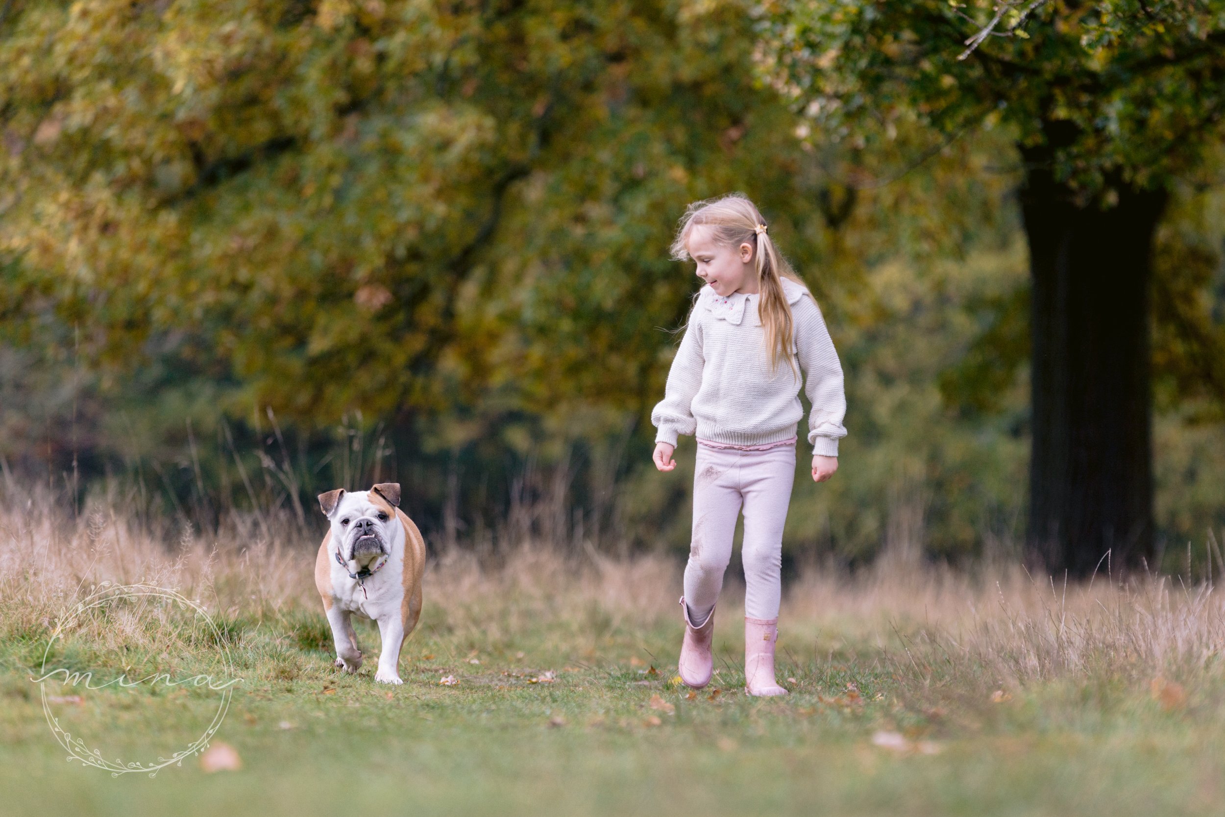 Bushy Hill Dog Photographer