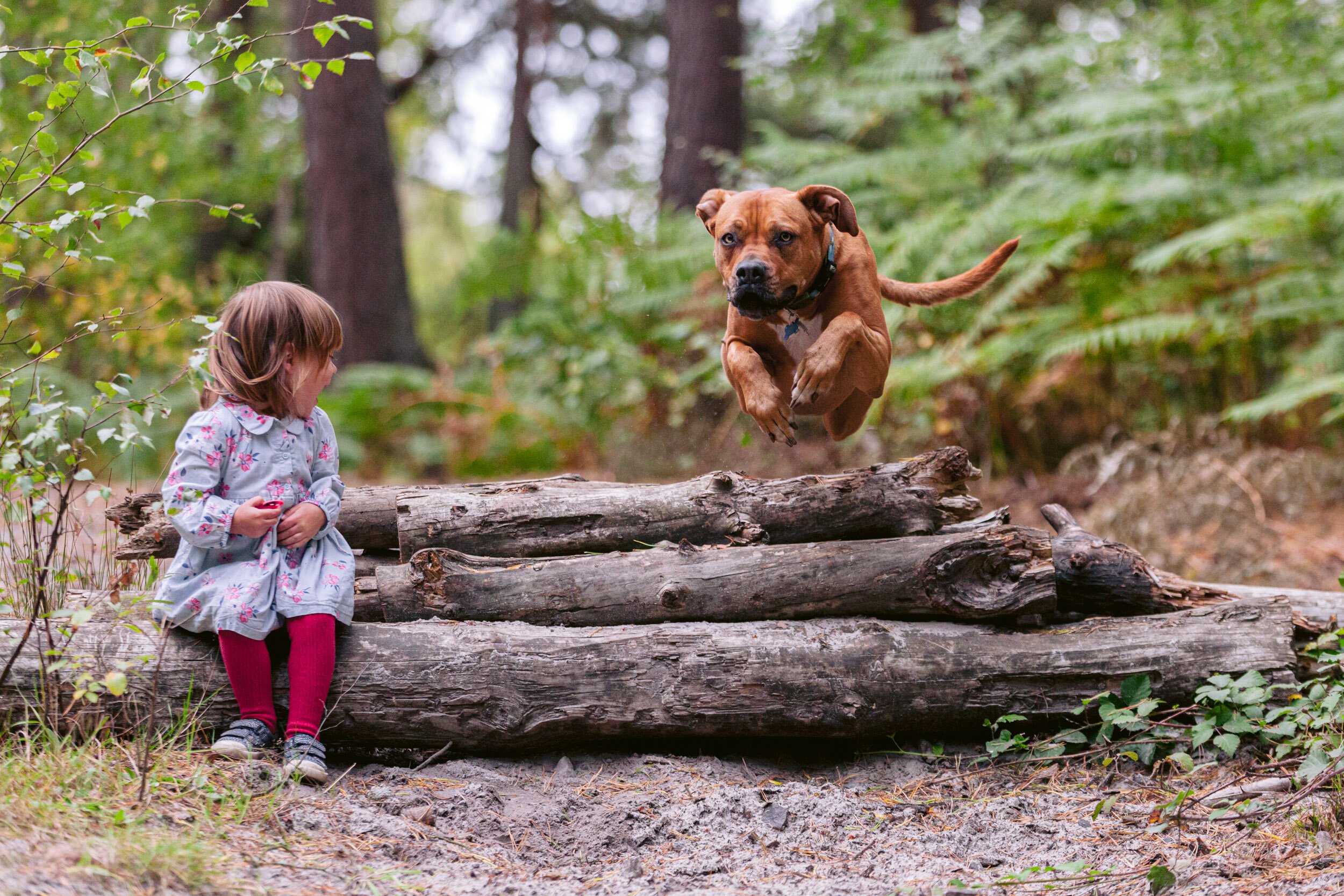Mina Milanovic Photography | Surrey Dog Photographer | Child and Dog Photography.jpg