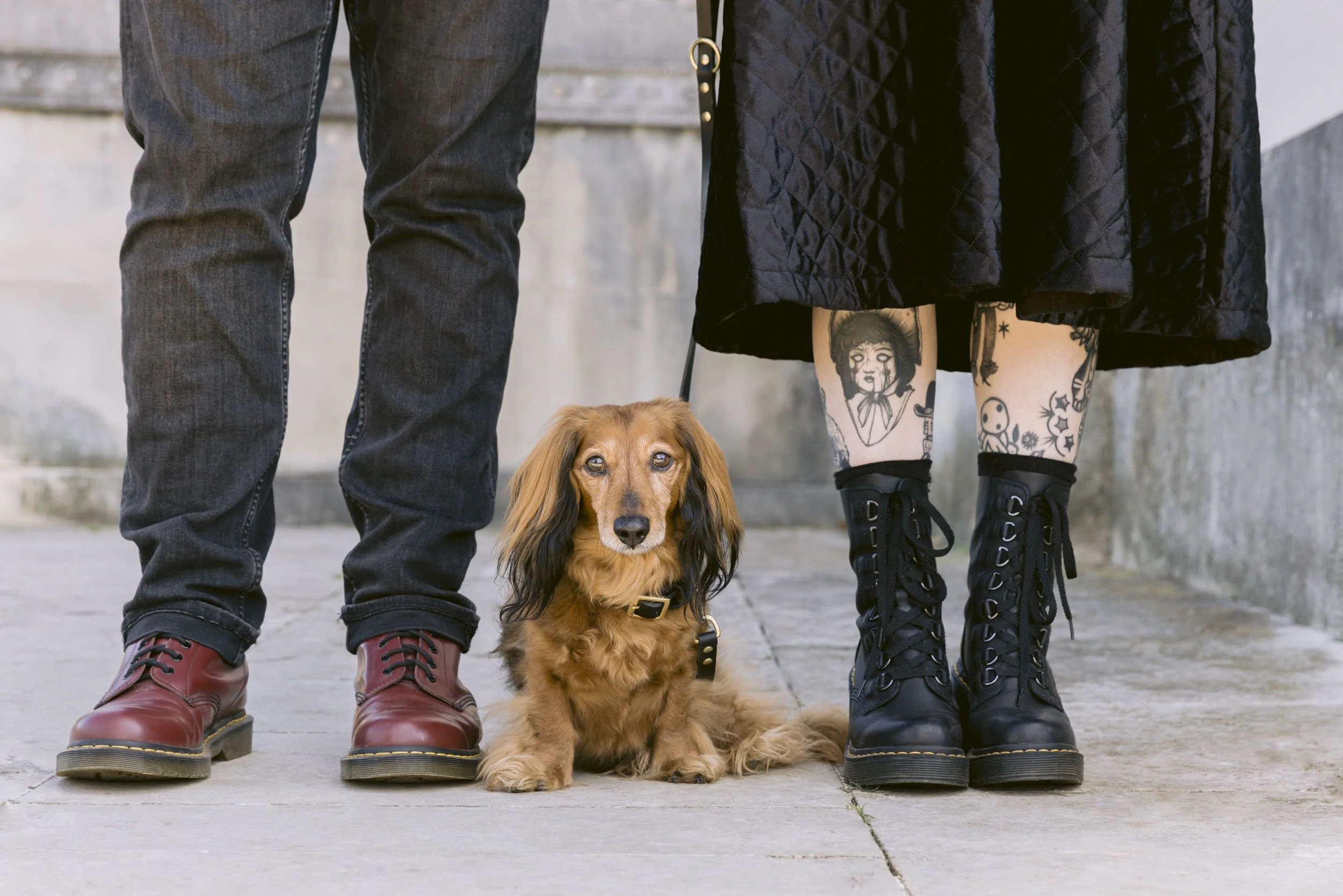 london-dog-photographer-at-chiswick-house.jpg