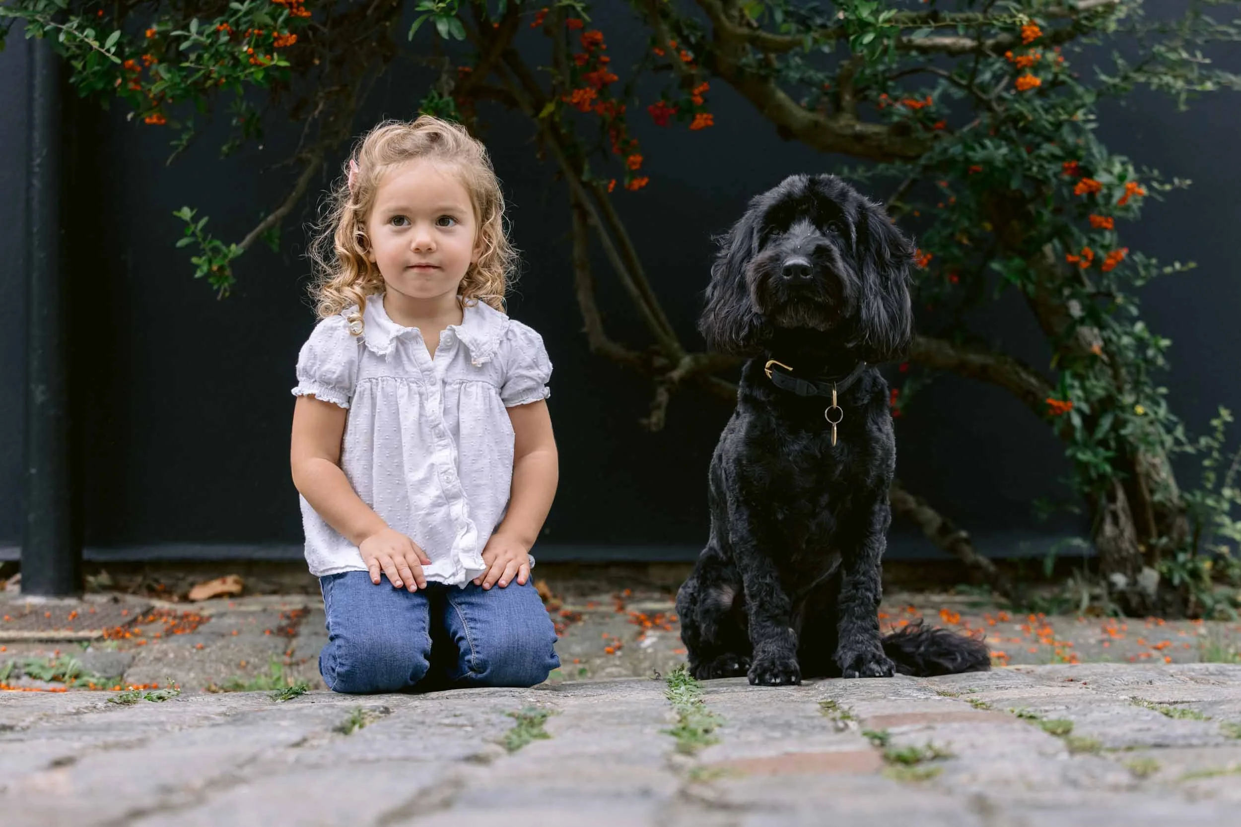 dog-and-family-photography-london.jpg
