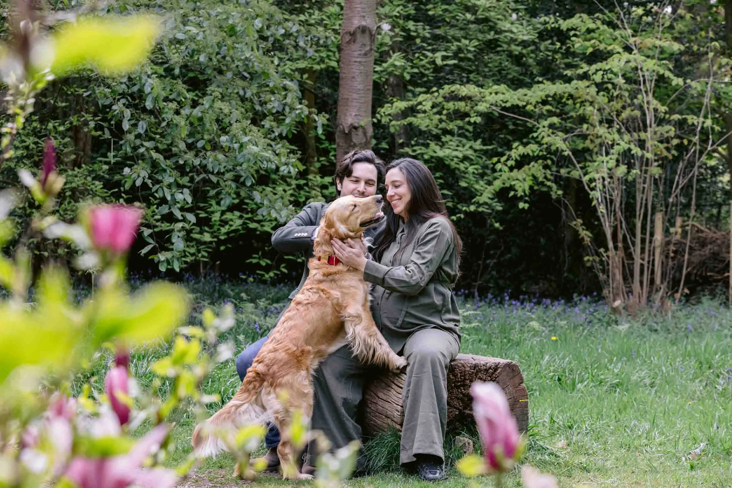 Dog-Friendly Maternity Photoshoot at Isabella Plantation, Richmond Park