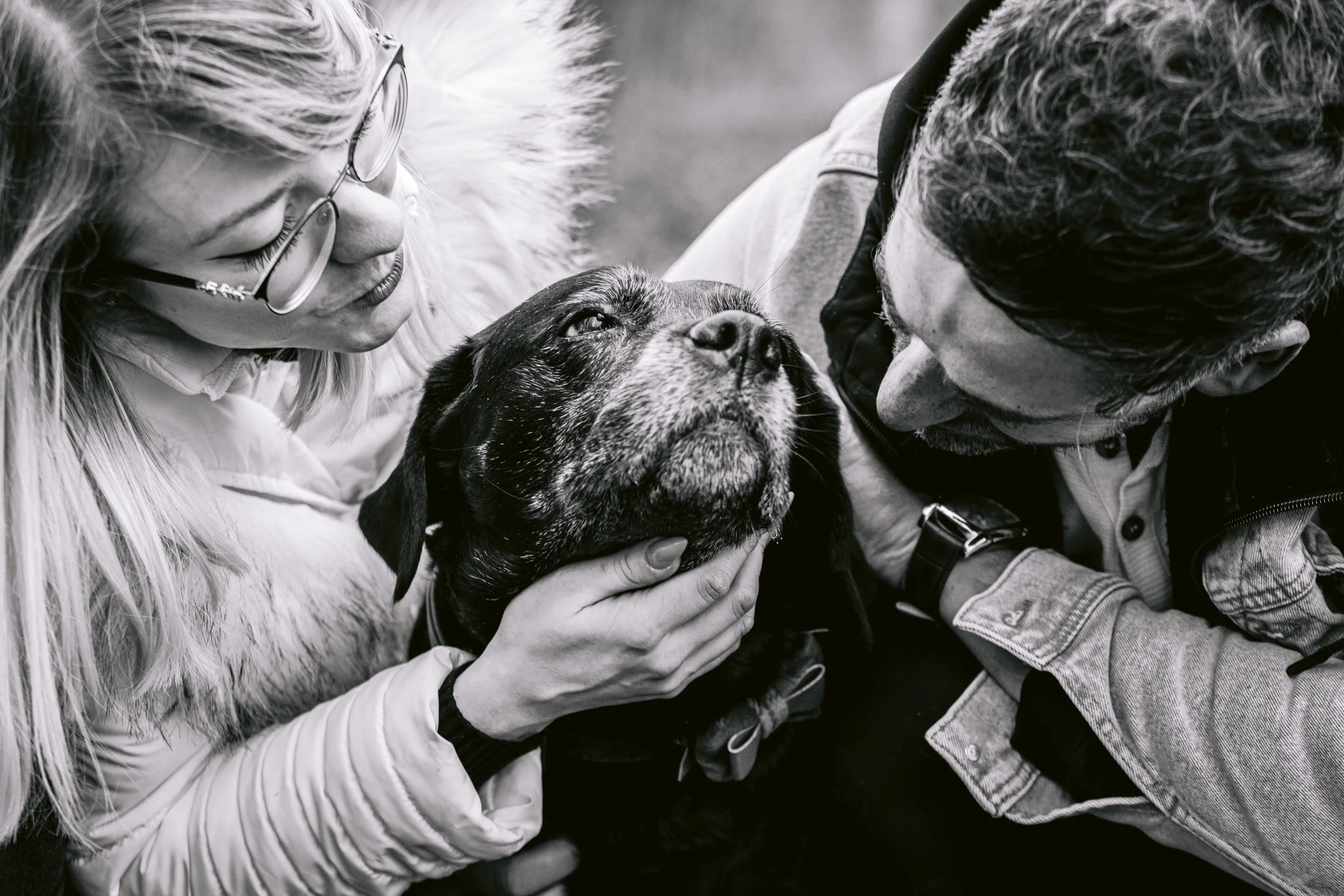 Celebrating the Bond Between Senior Dogs and Their Owners
