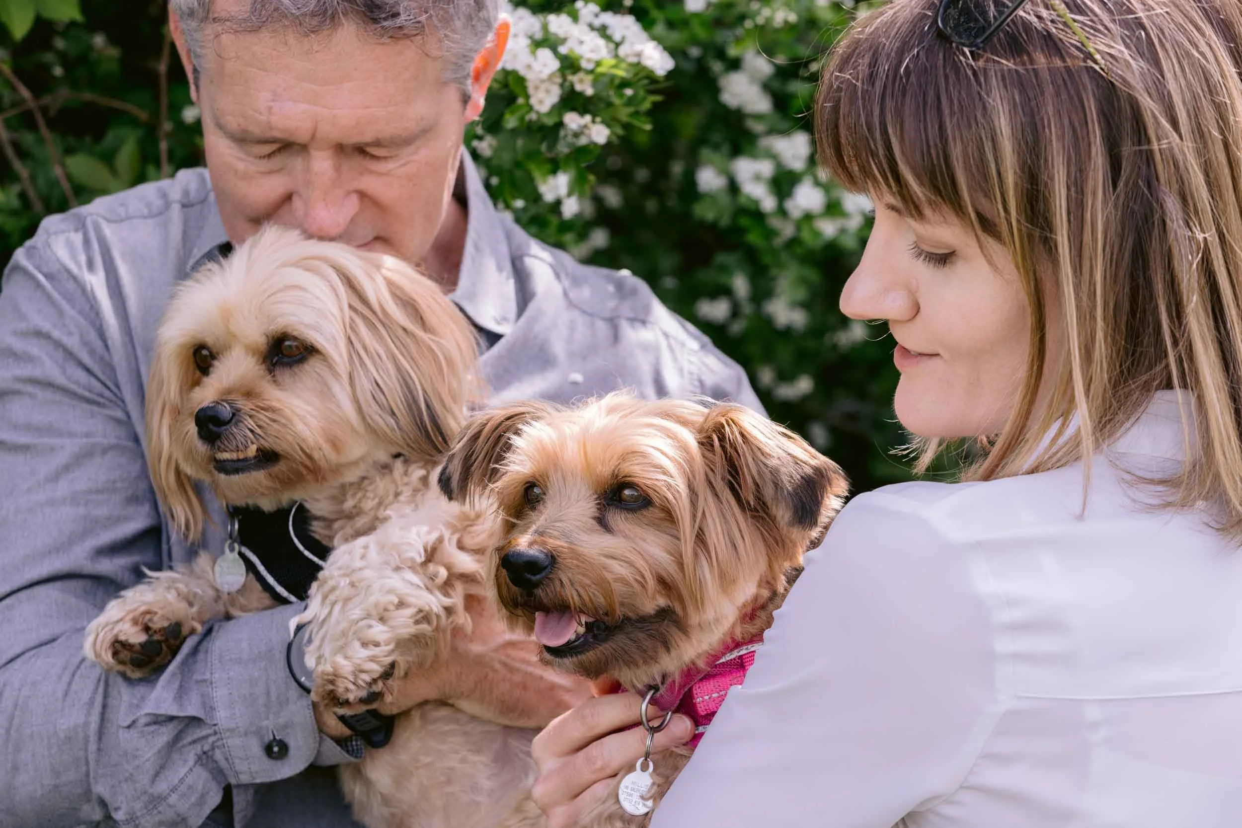 End-of-life dog photography in London &amp; Surrey | Preserving Precious Memories