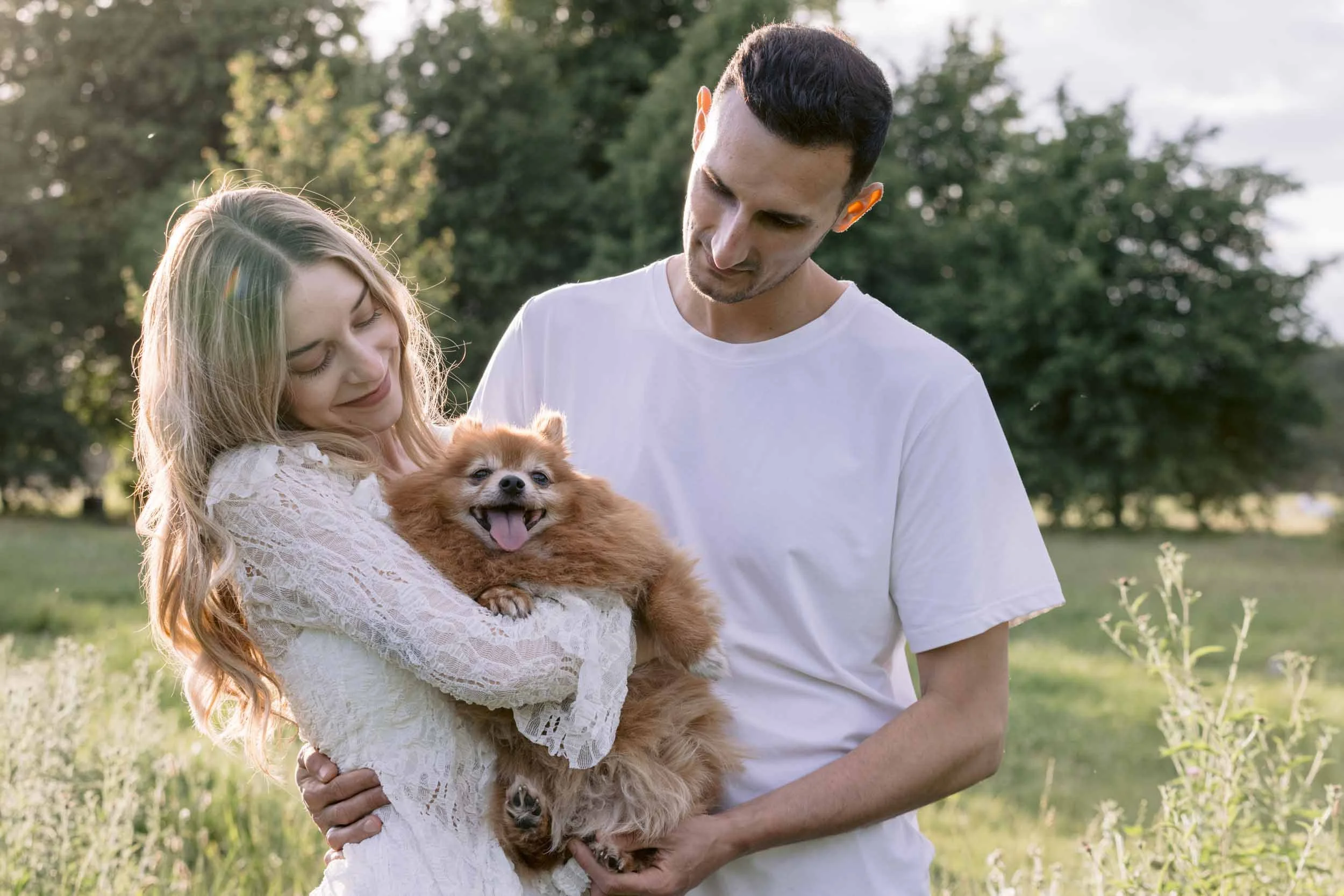 Senior Dog Photography in London: Aston's Clapham Common Photo Session