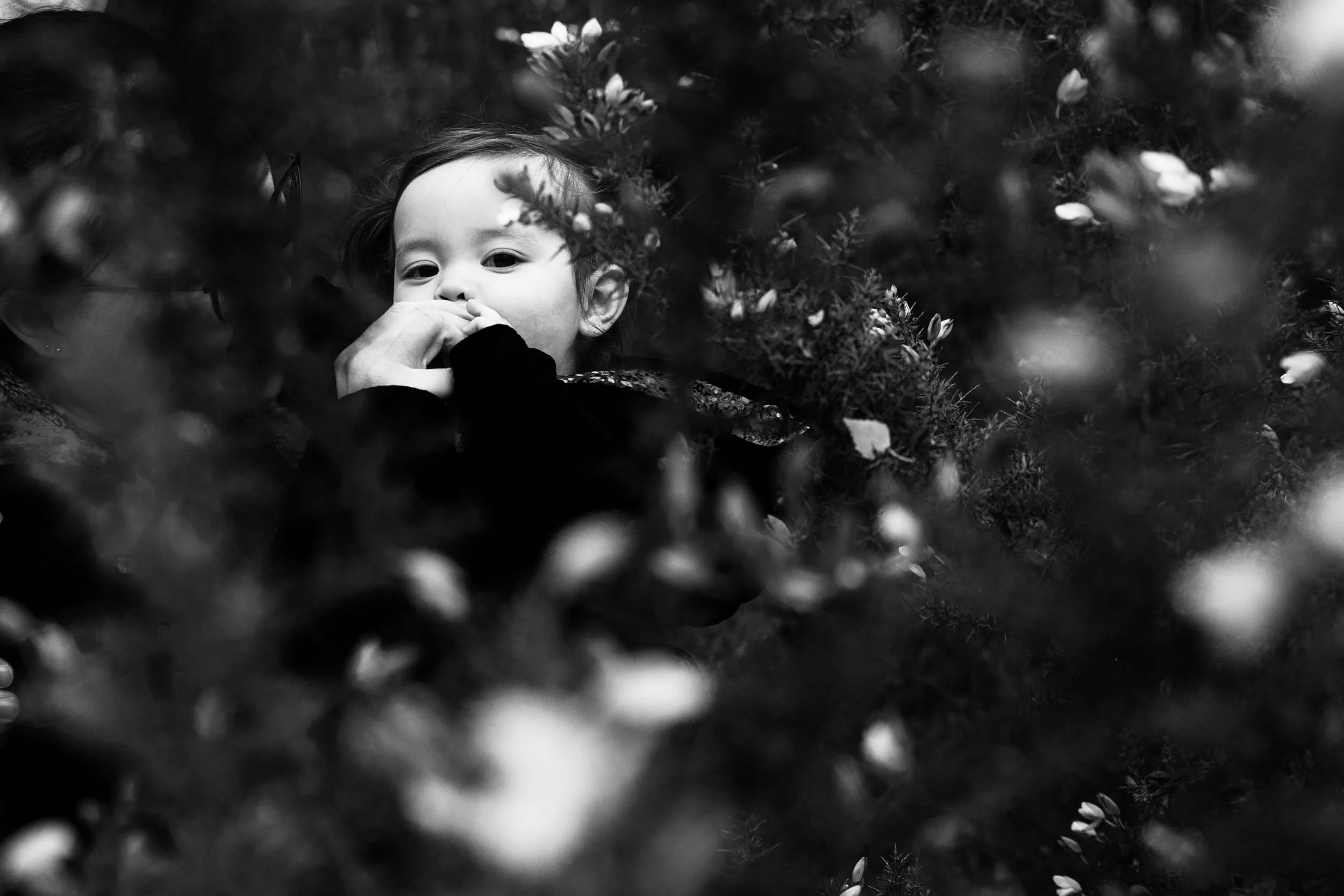 Relaxed family portraits taken in Wimbledon Common in winter