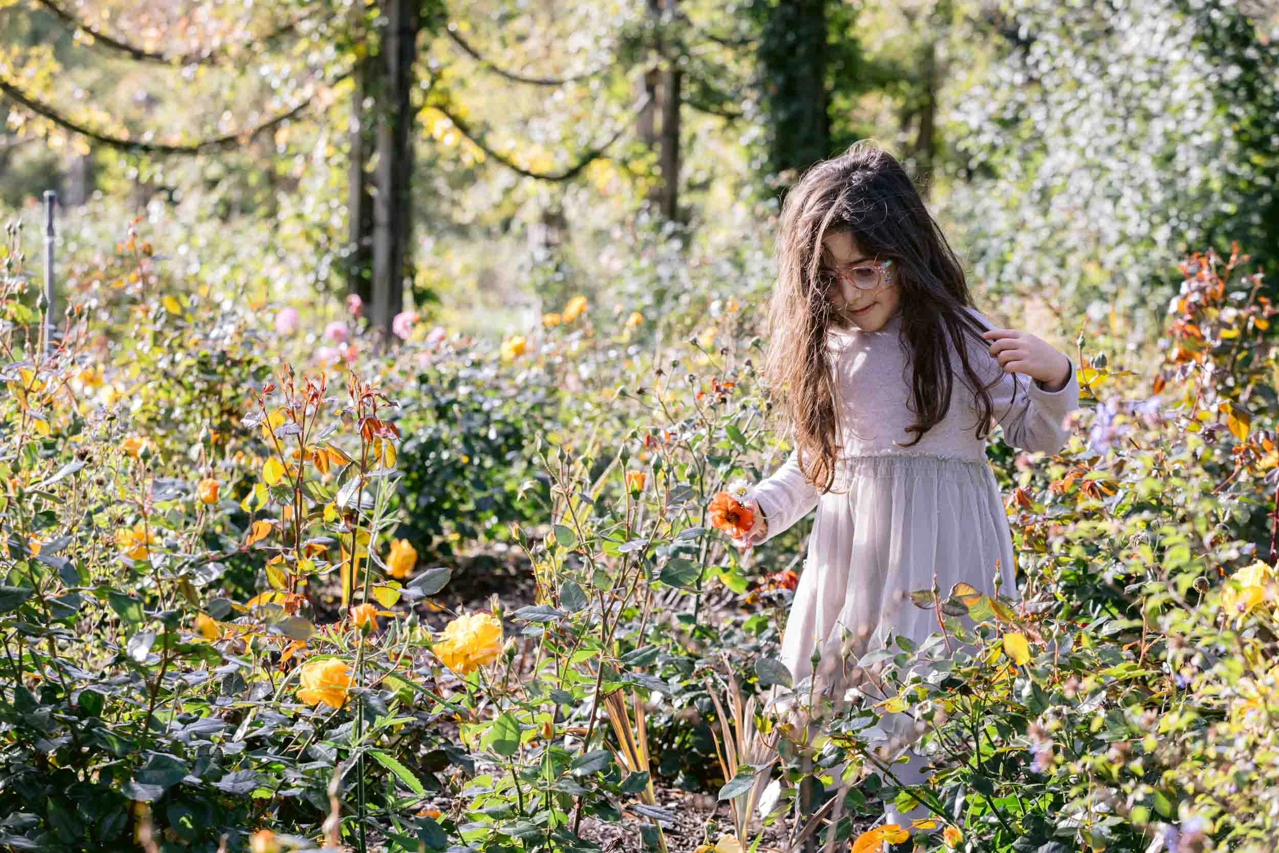 Child enjoys looking at roses in the autumn light