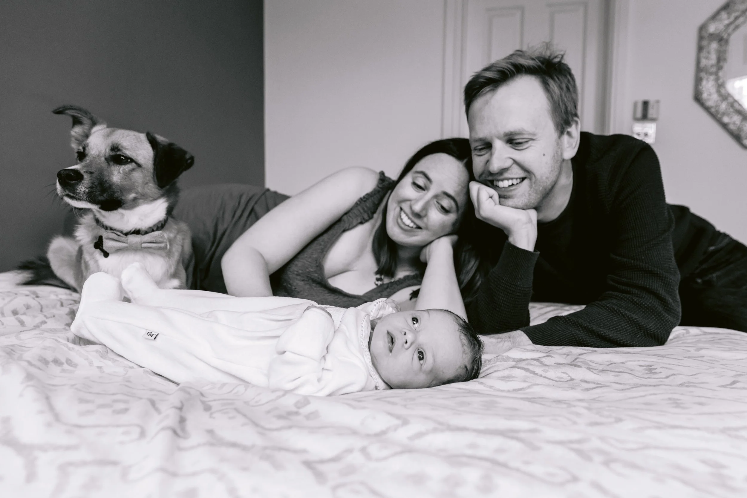 Mum dad and dog looking at a newborn baby during a newborn photography session in Putney