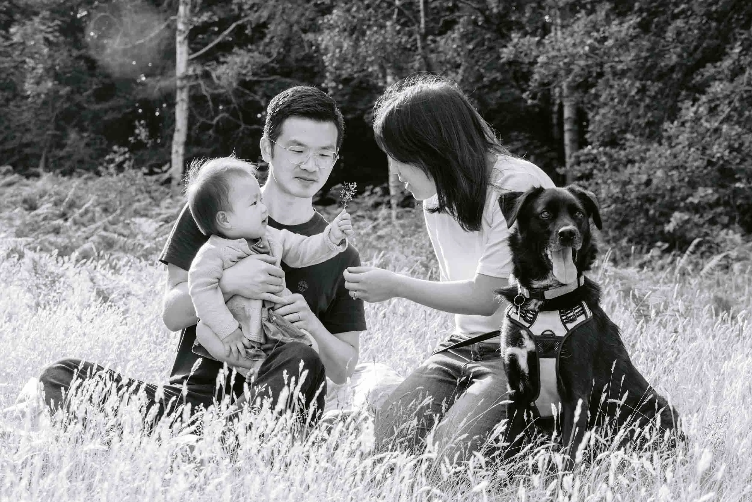 Natural pet photography in the Surrey Hills countryside