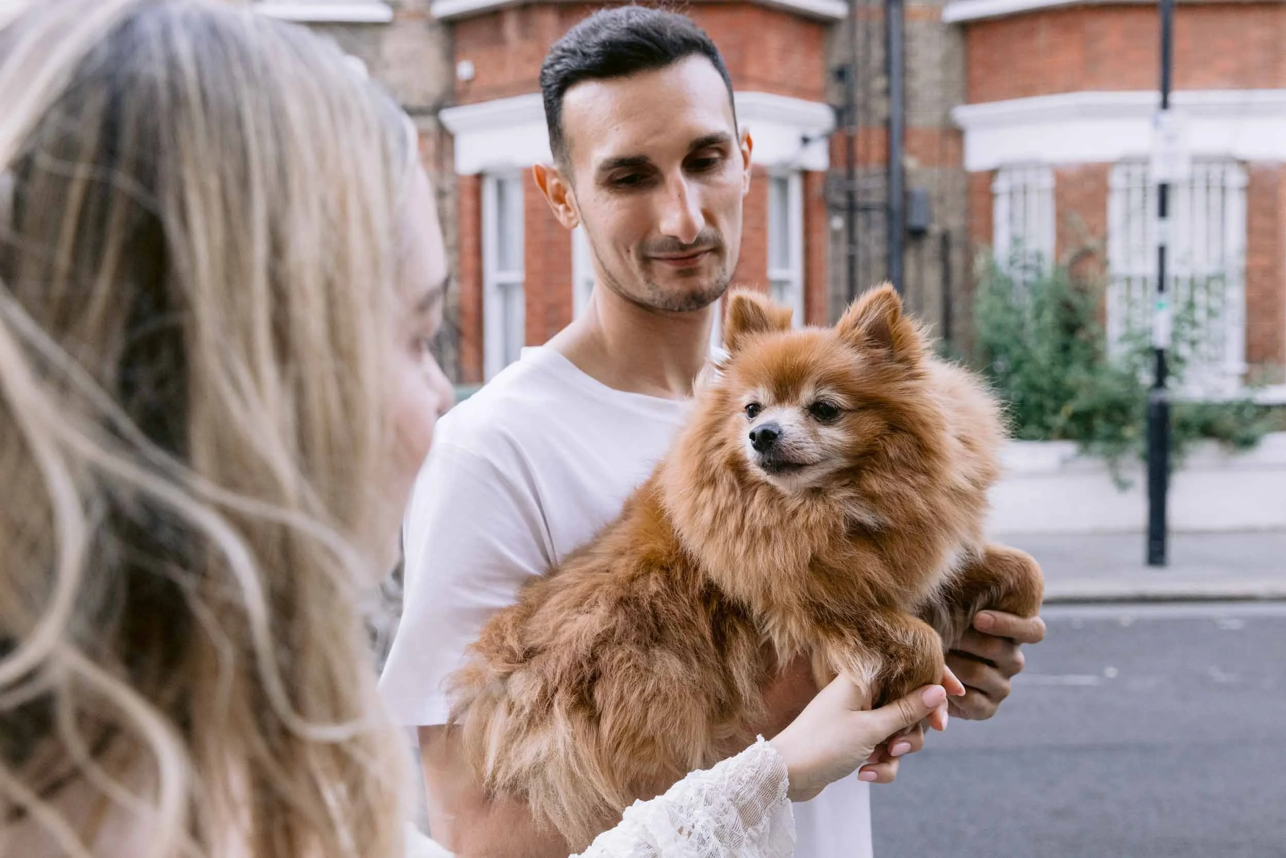 Couple walking and carrying their pomeranian in Clapham Common during a couple and dog photo session