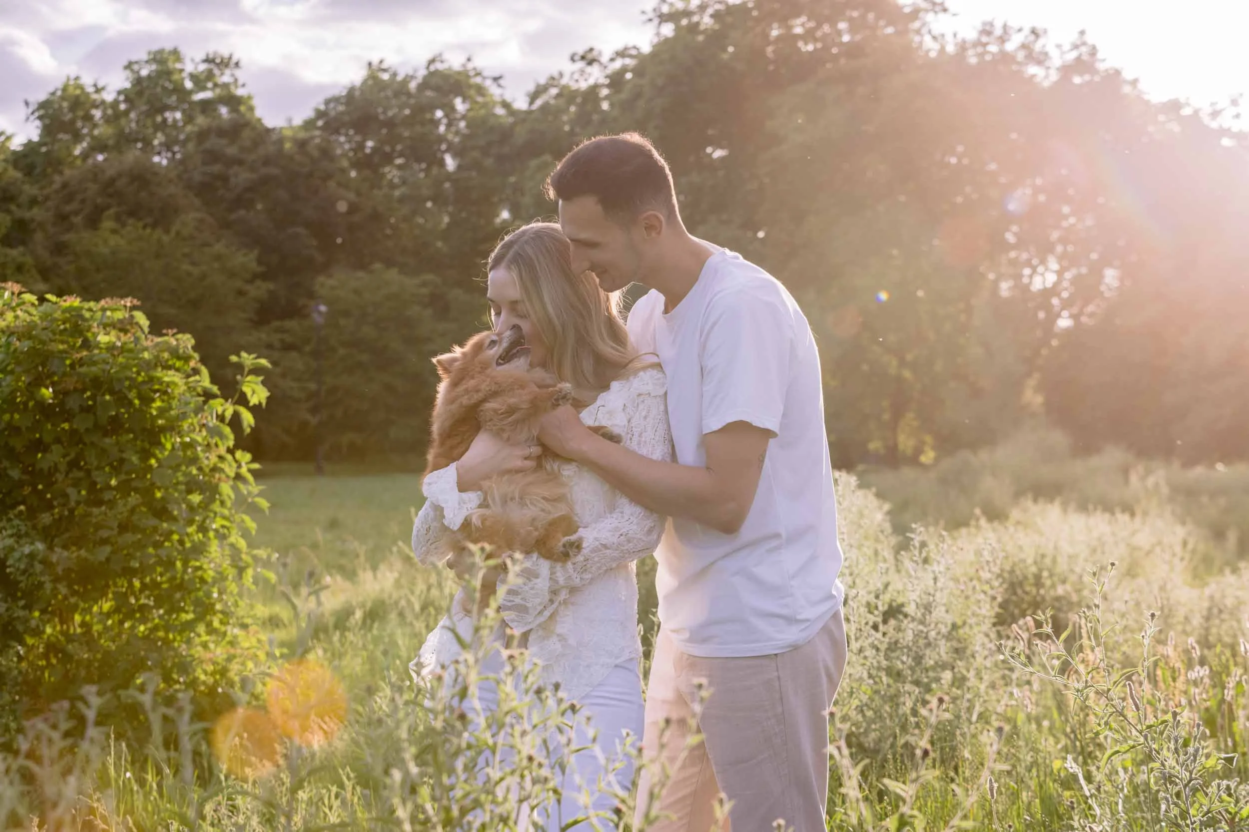 Golden hour senior dog photo session in London