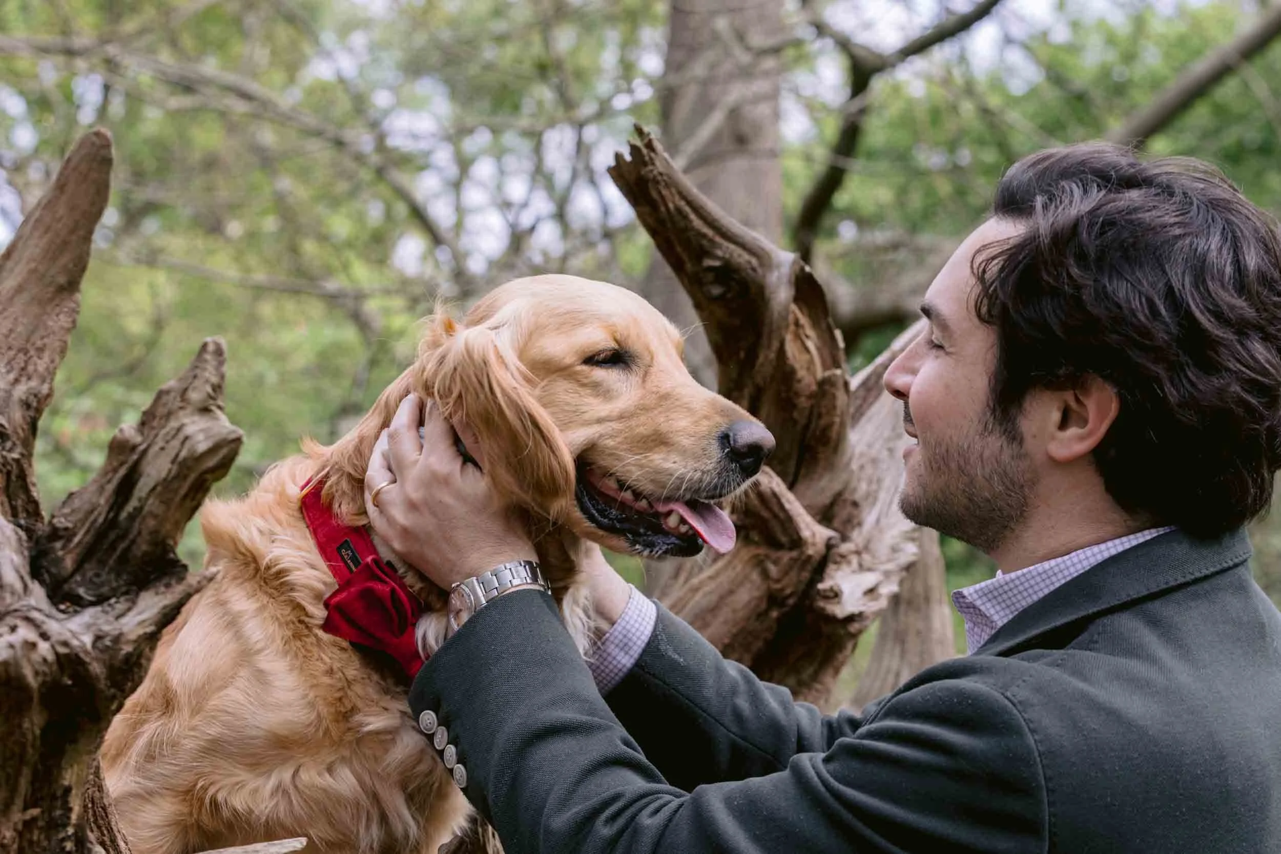 Couple with their dog during a maternity photoshoot in Richmond Park