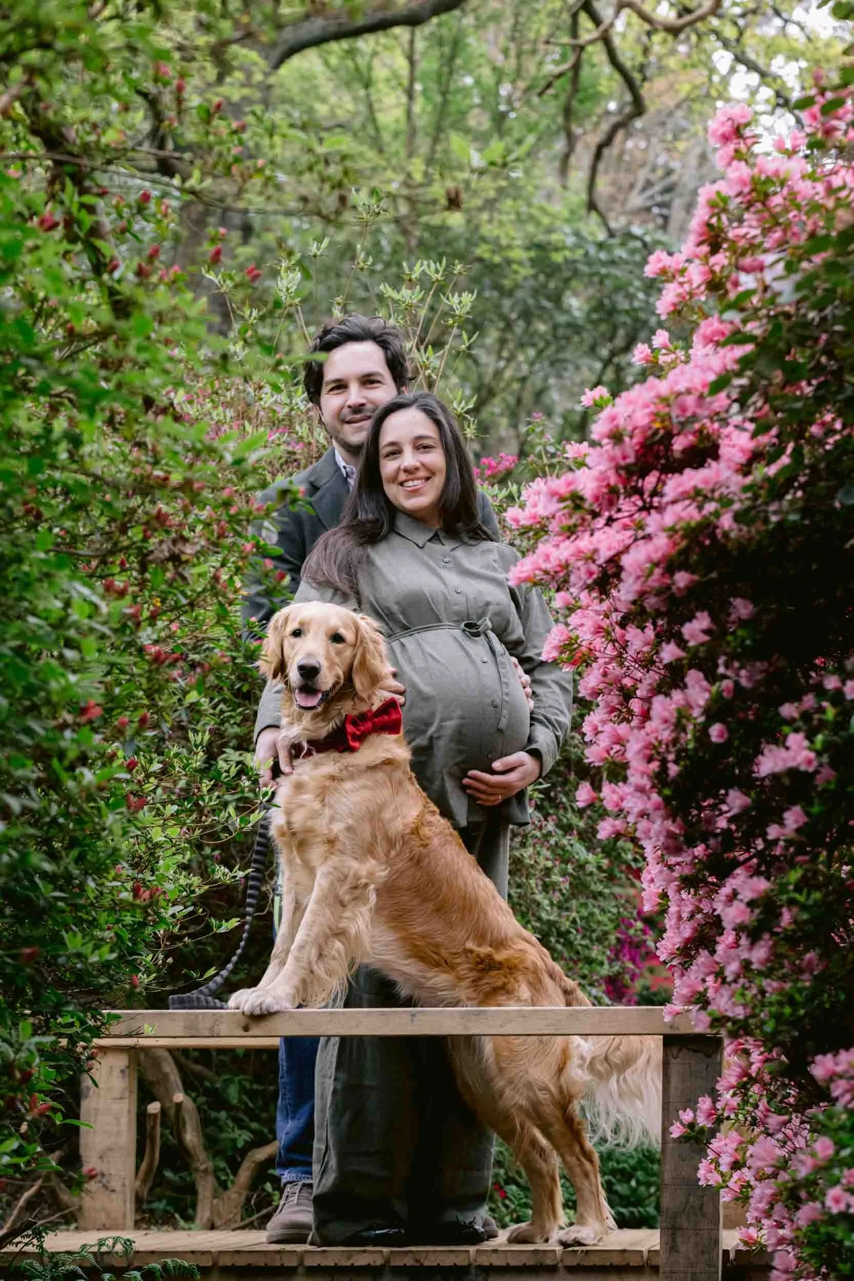 Couple and their dog during a spring maternity photoshoot surrounded by blooming azaleas
