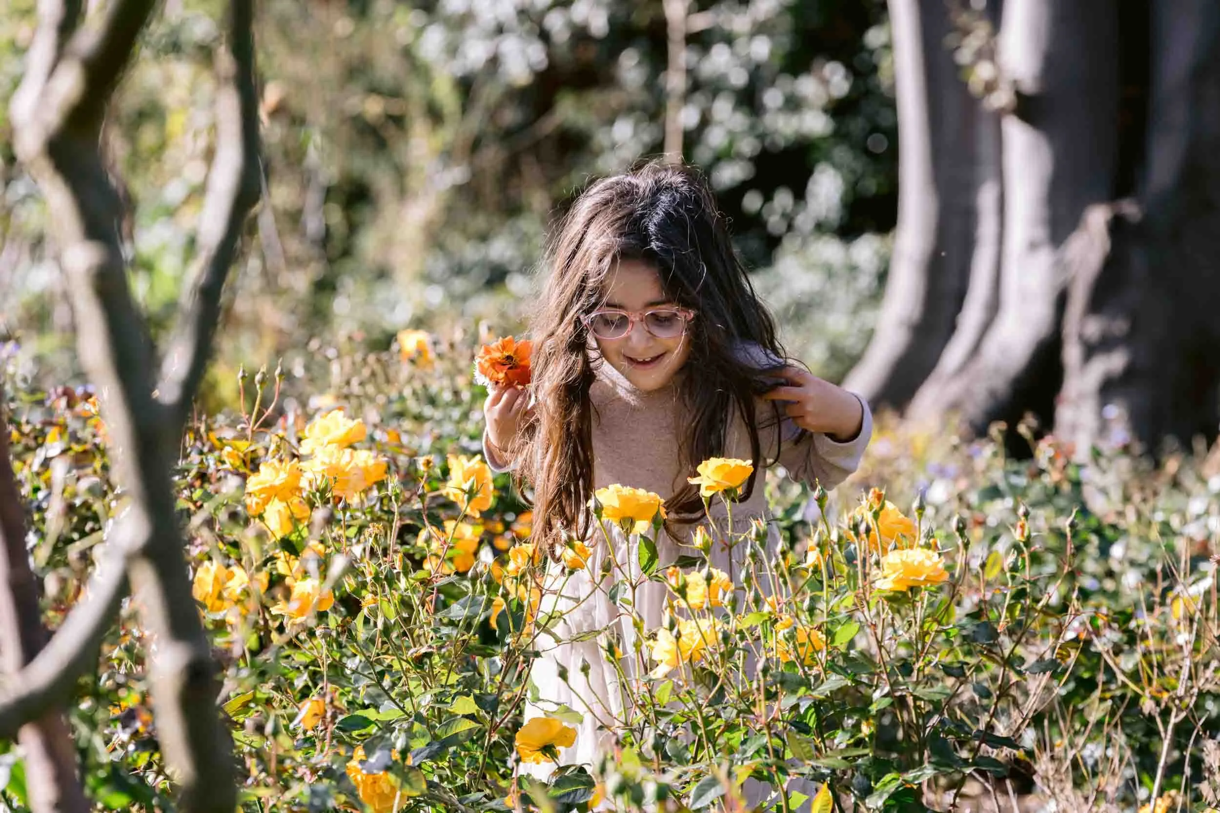 Child photographed smelling roses in the rose garden in Regent's park