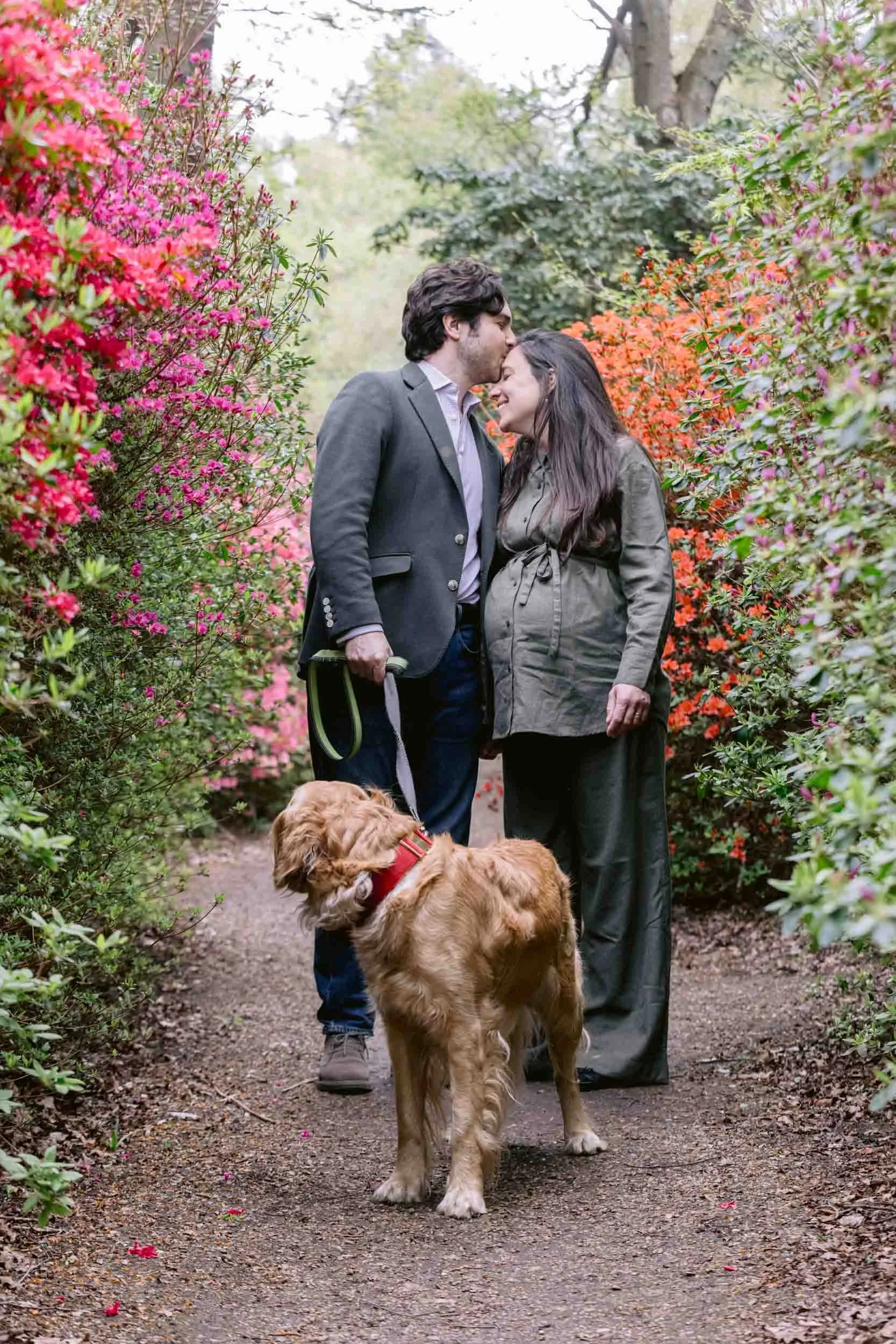 Couple and their dog standing amongst blooming rhododendrons in Richmond Park