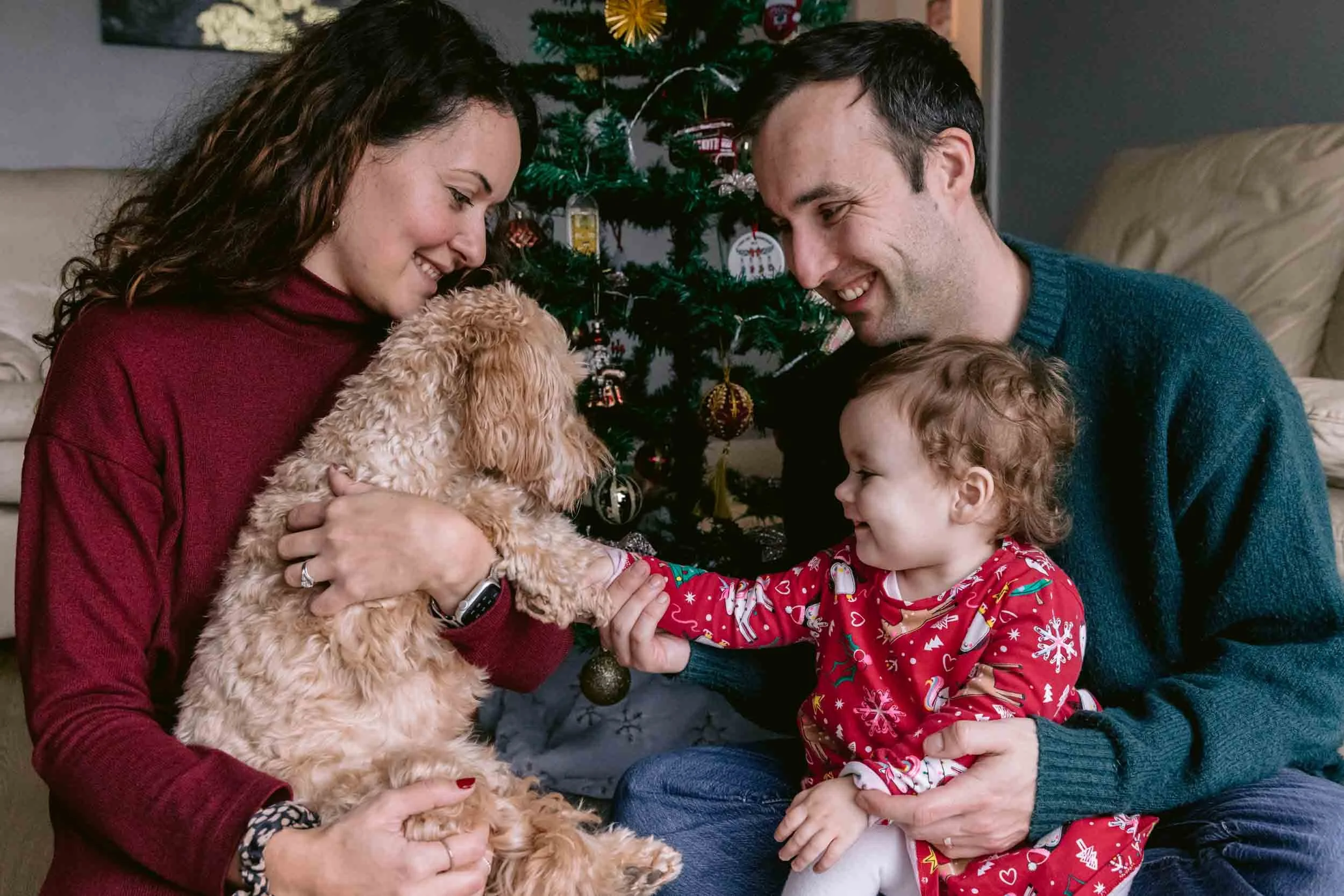 Girl cuddling a dog in front of a Christmas tree during a family Christmas photo session