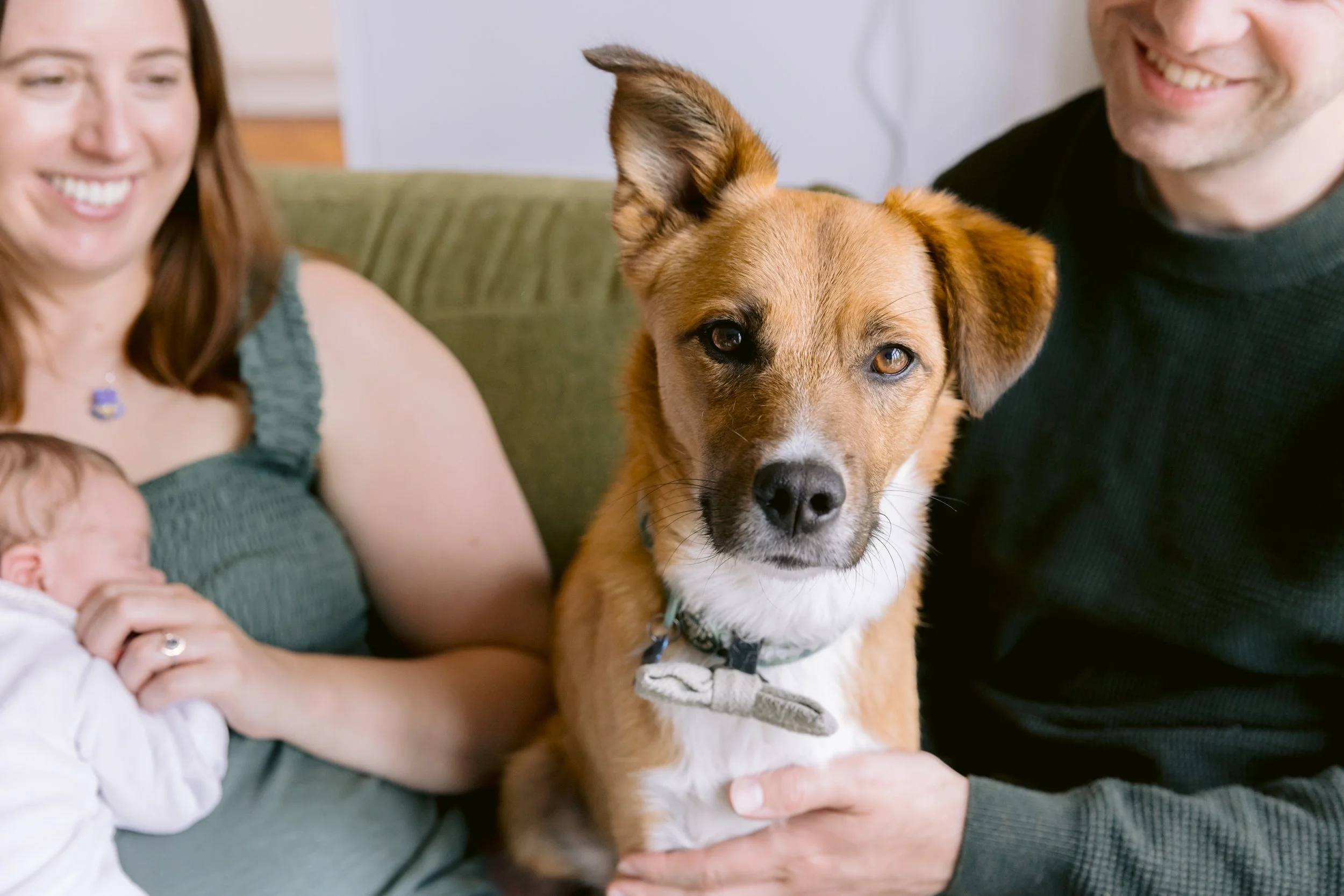 Family and pet portrait in South West London