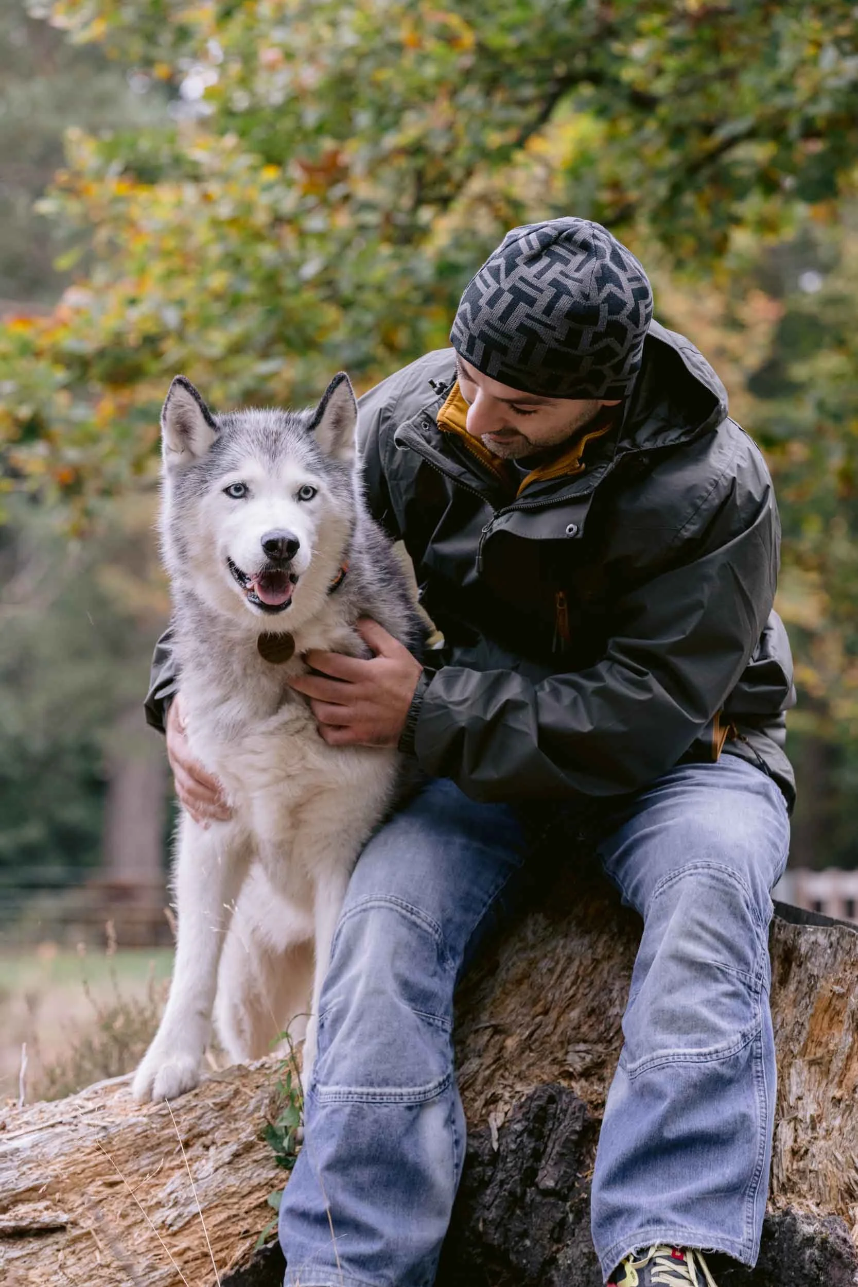 Huskey portrait in Richmond Park by London dog photographer