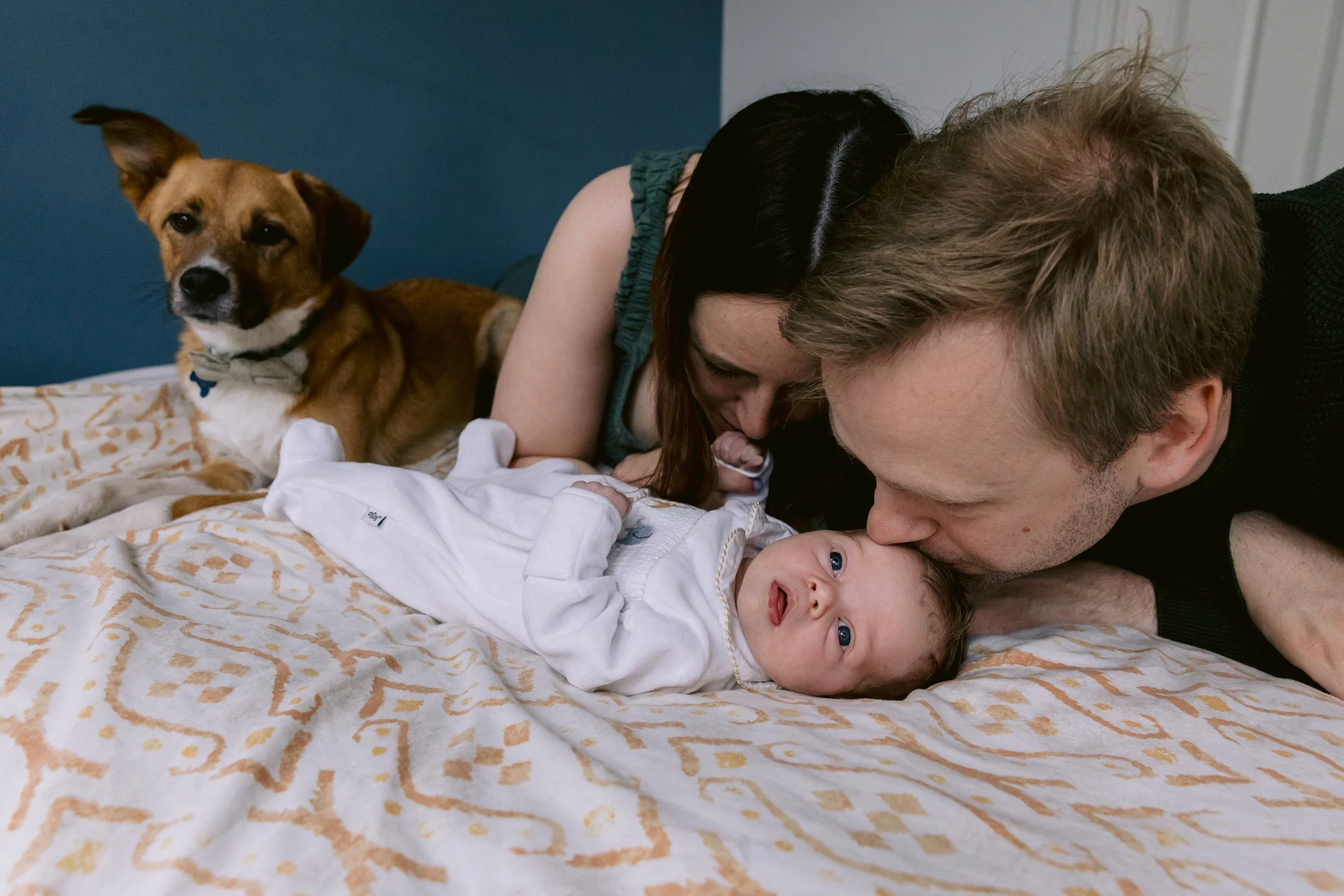 Dog looking as mum and dad kiss a newborn baby during a London newborn photoshoot