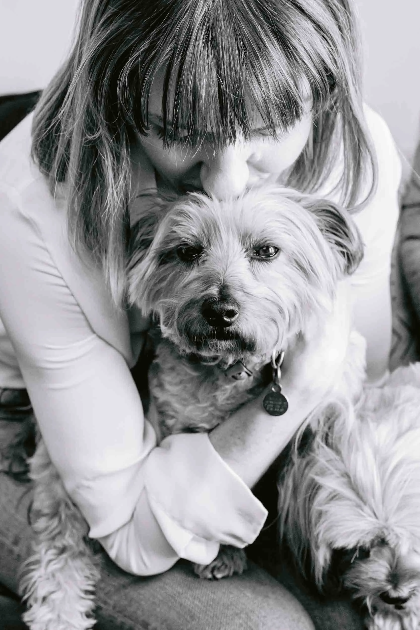 Senior dog and her owner during an end-of-life pet photography session in South London