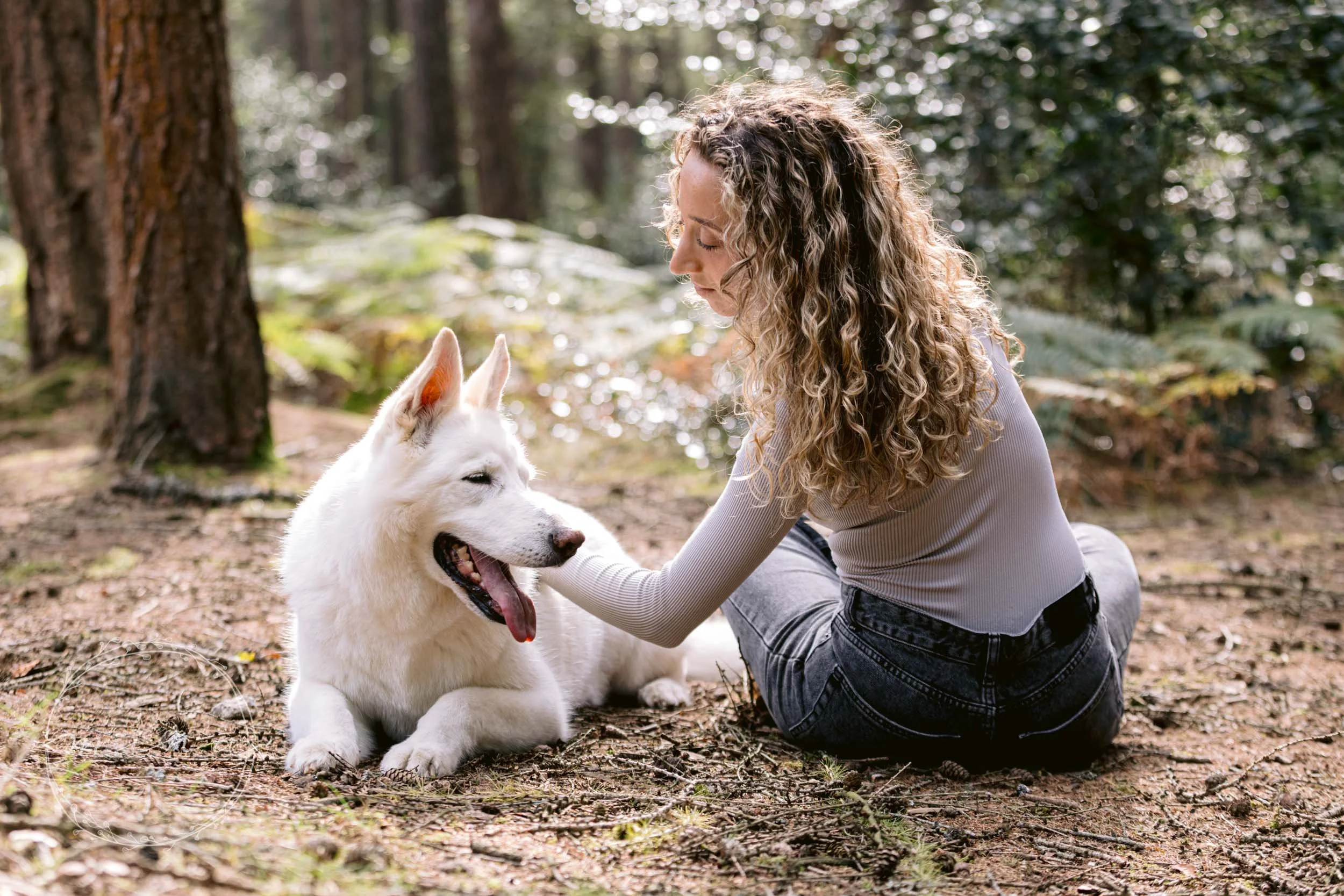 White alsatian professional dog photography session in London park