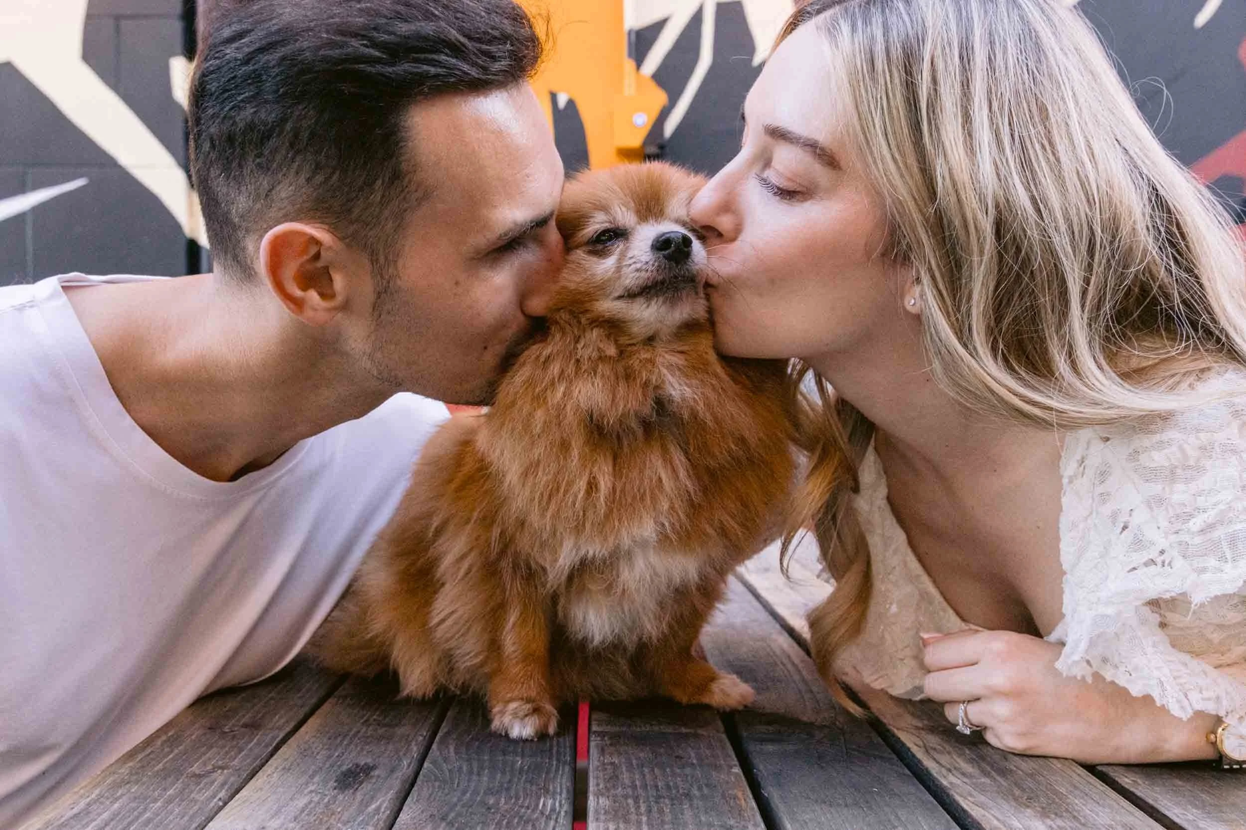 A couple kissing their pomeranian during a senior dog photo session in London]